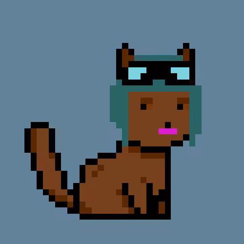 PunkCat #22