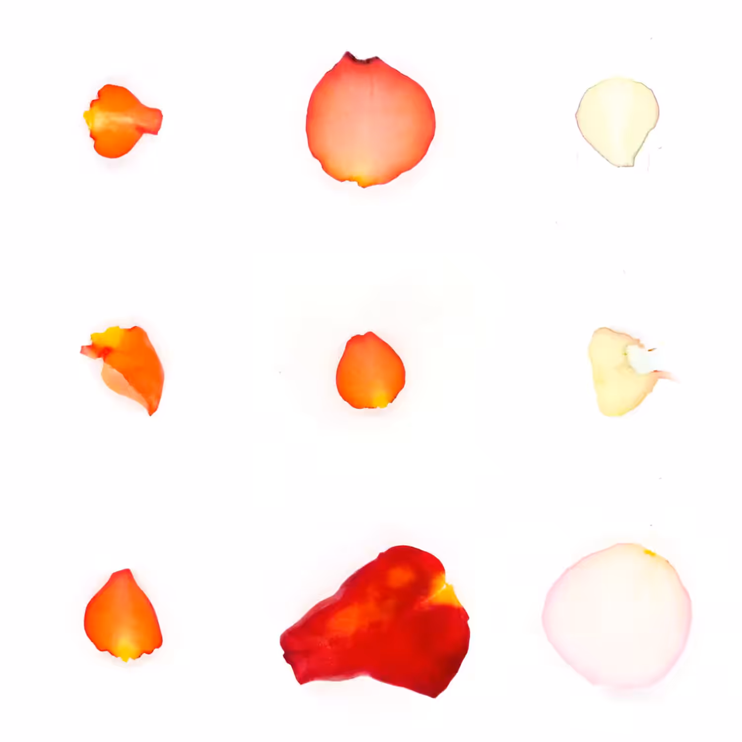 Infinite Petals 3x3#20120