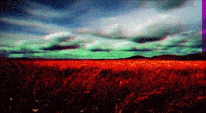 _where_you_get_lost