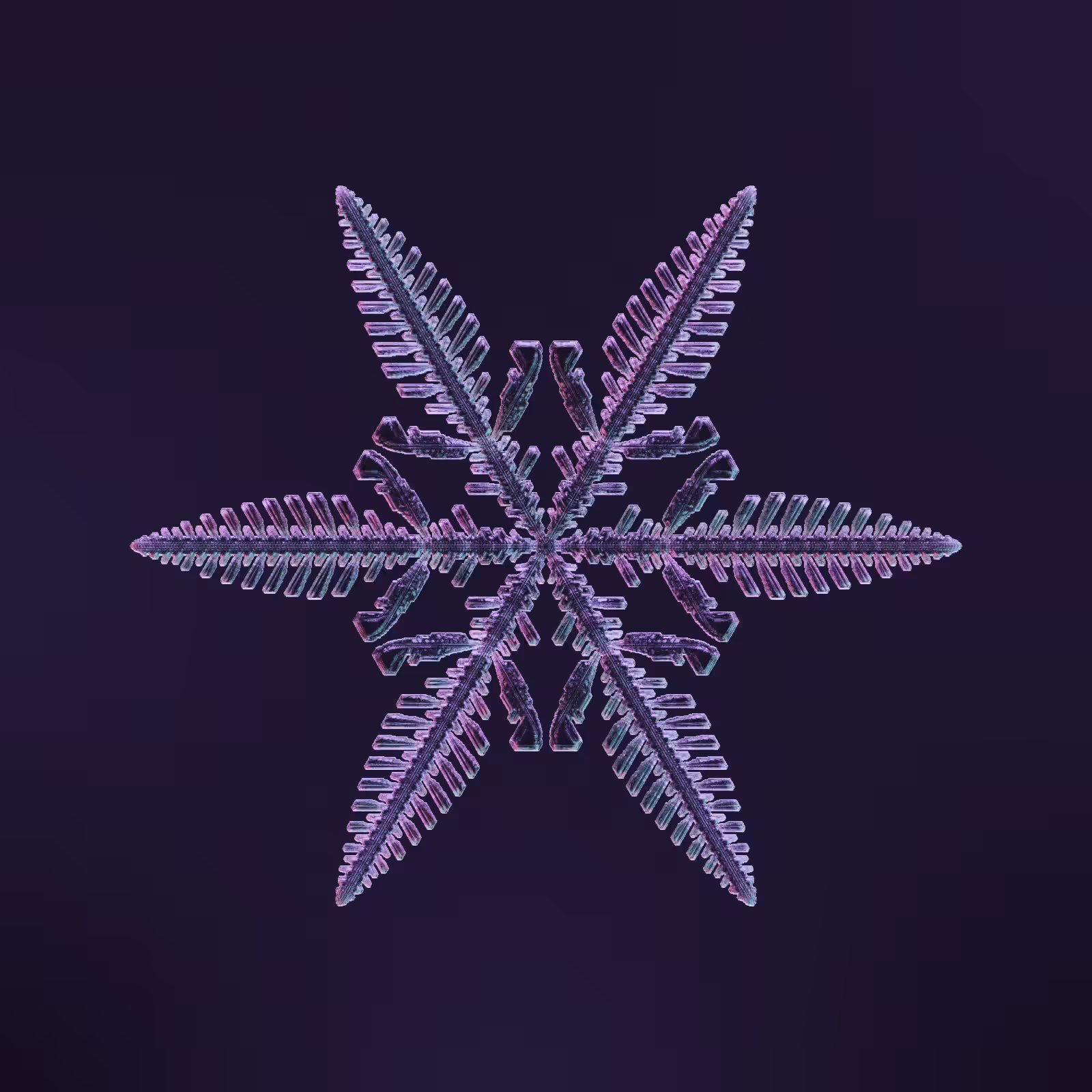 Symmetry and Intricacy #8