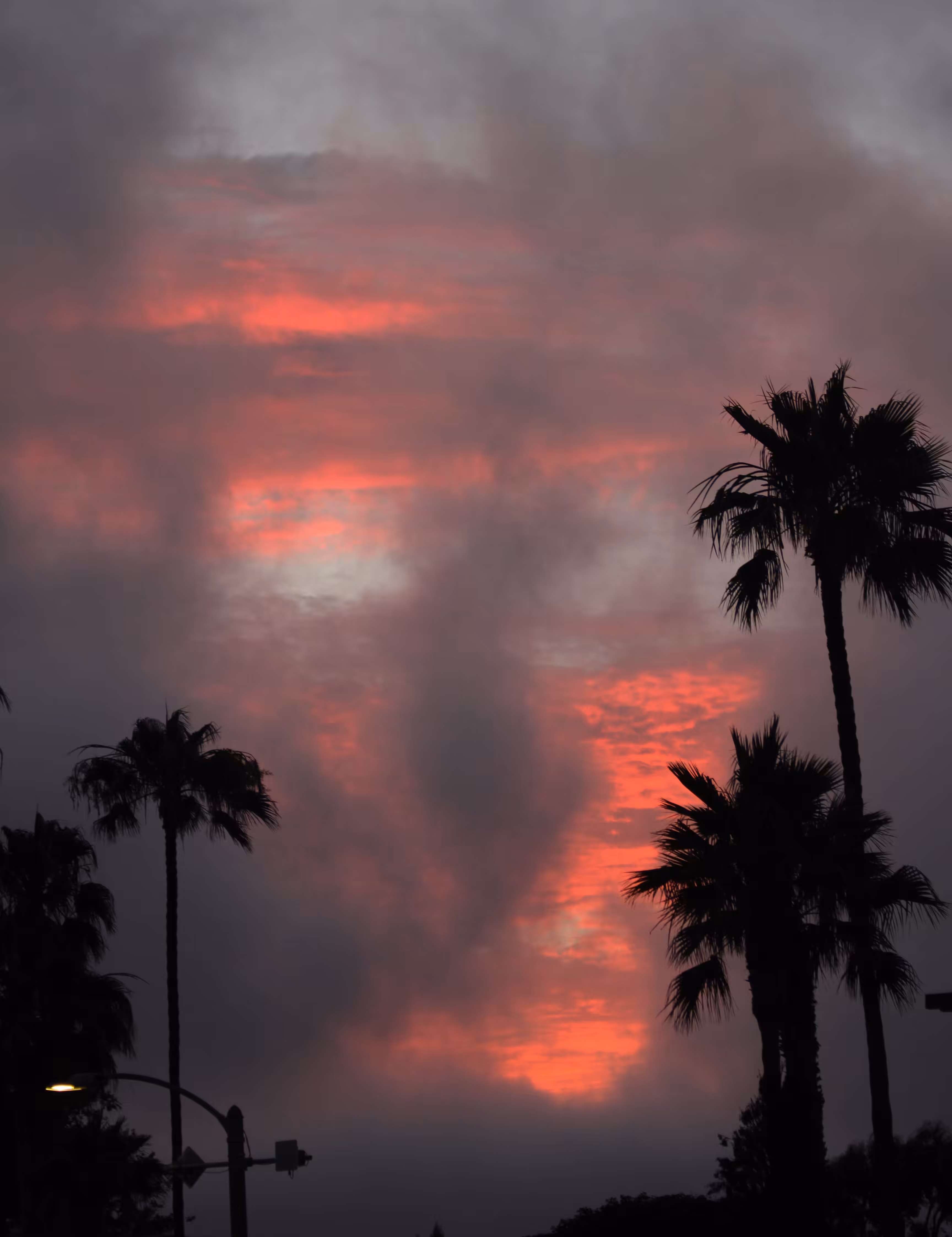 Skull Sunset