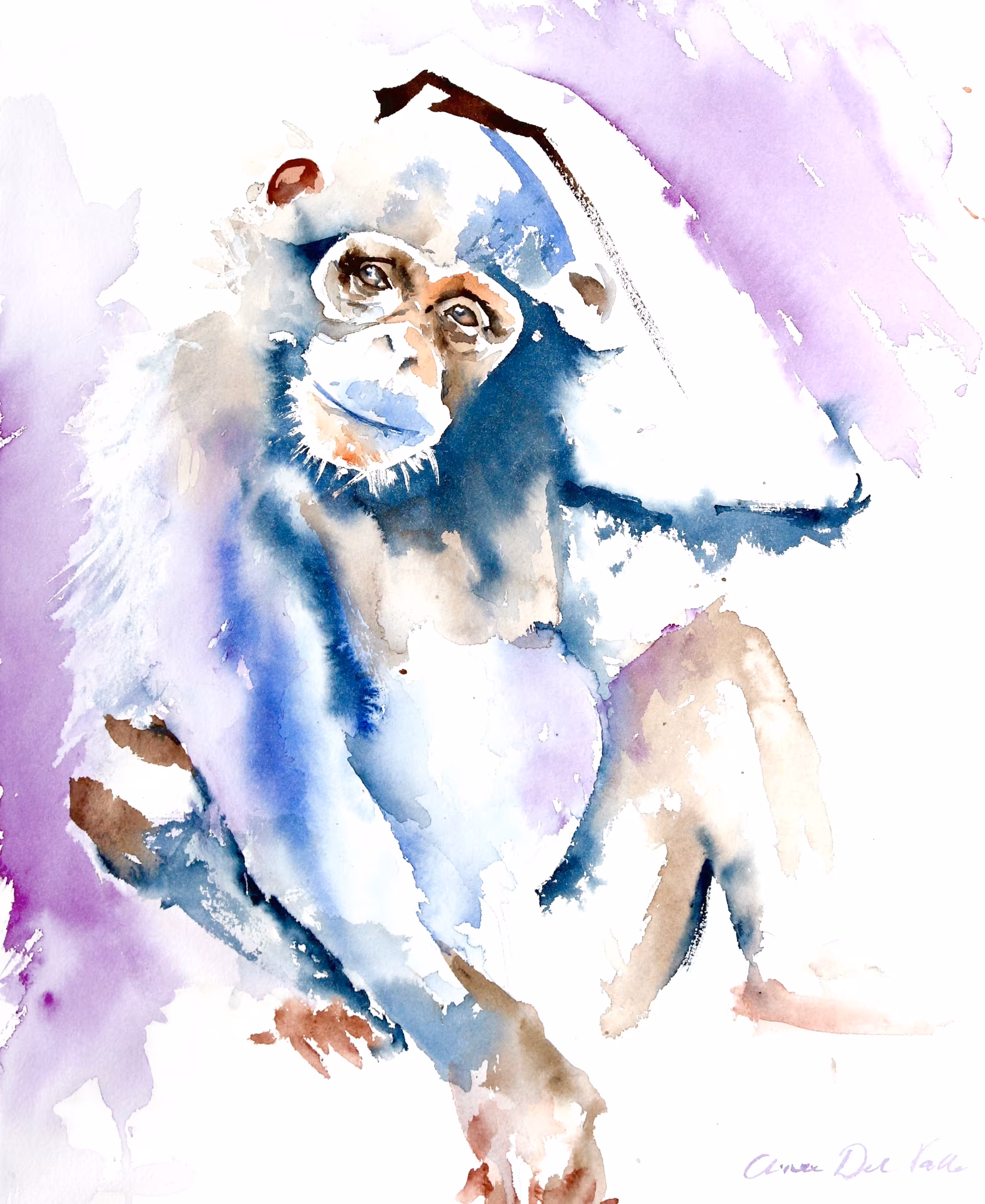 Young Chimpanzee