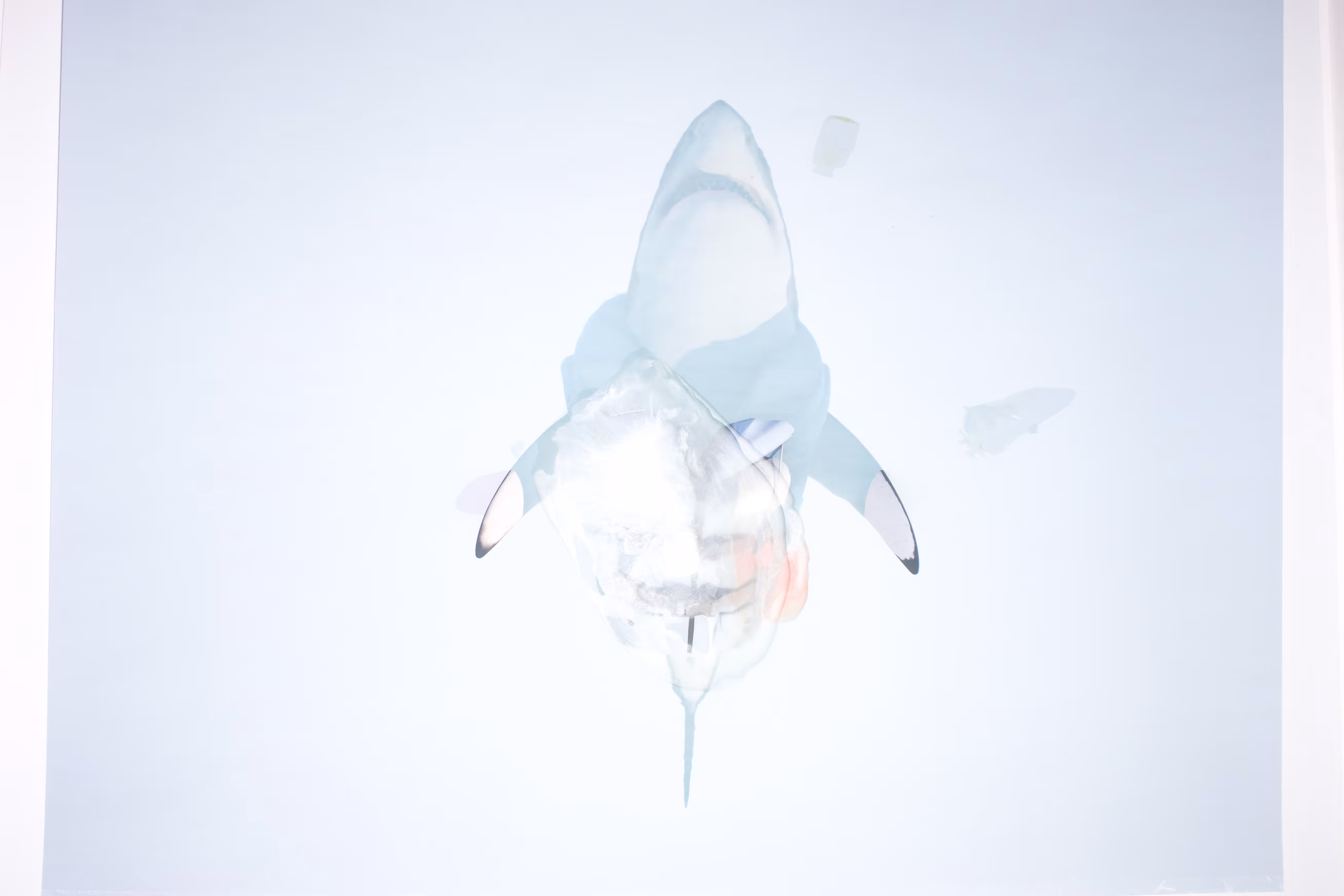 RESCUE, Distortions, #1_3