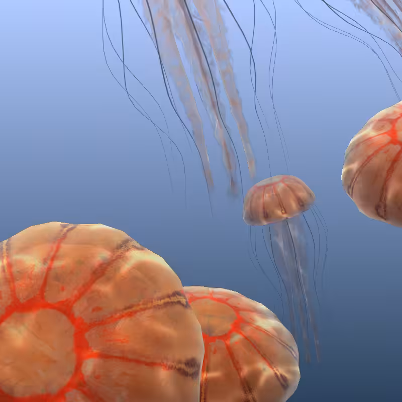 Jellyfish #57
