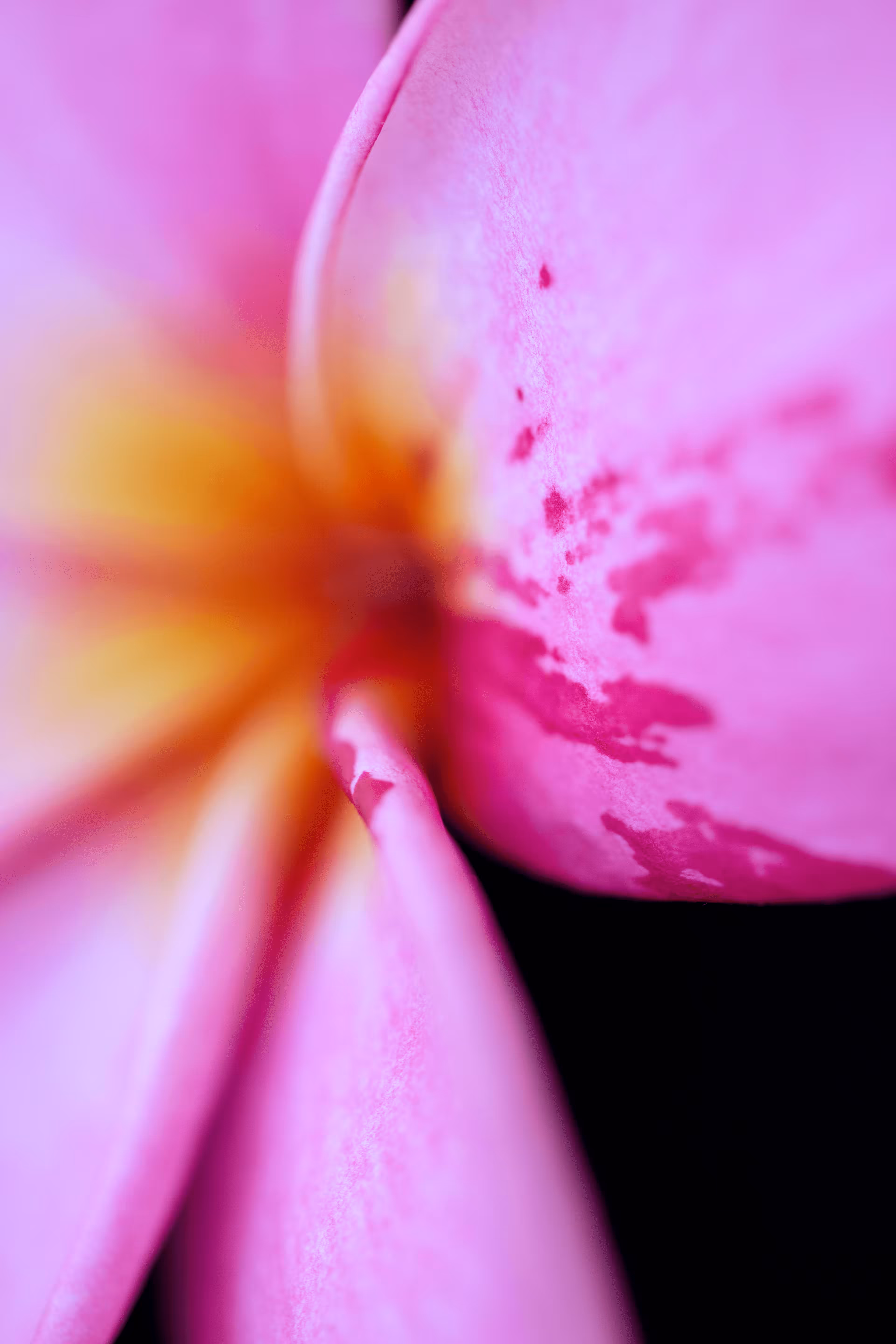 Birthmarked