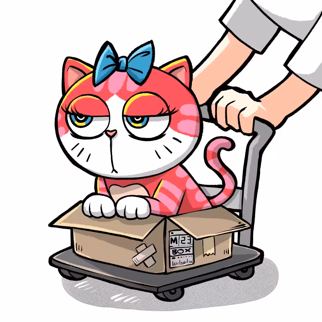 Meow in the Box #23