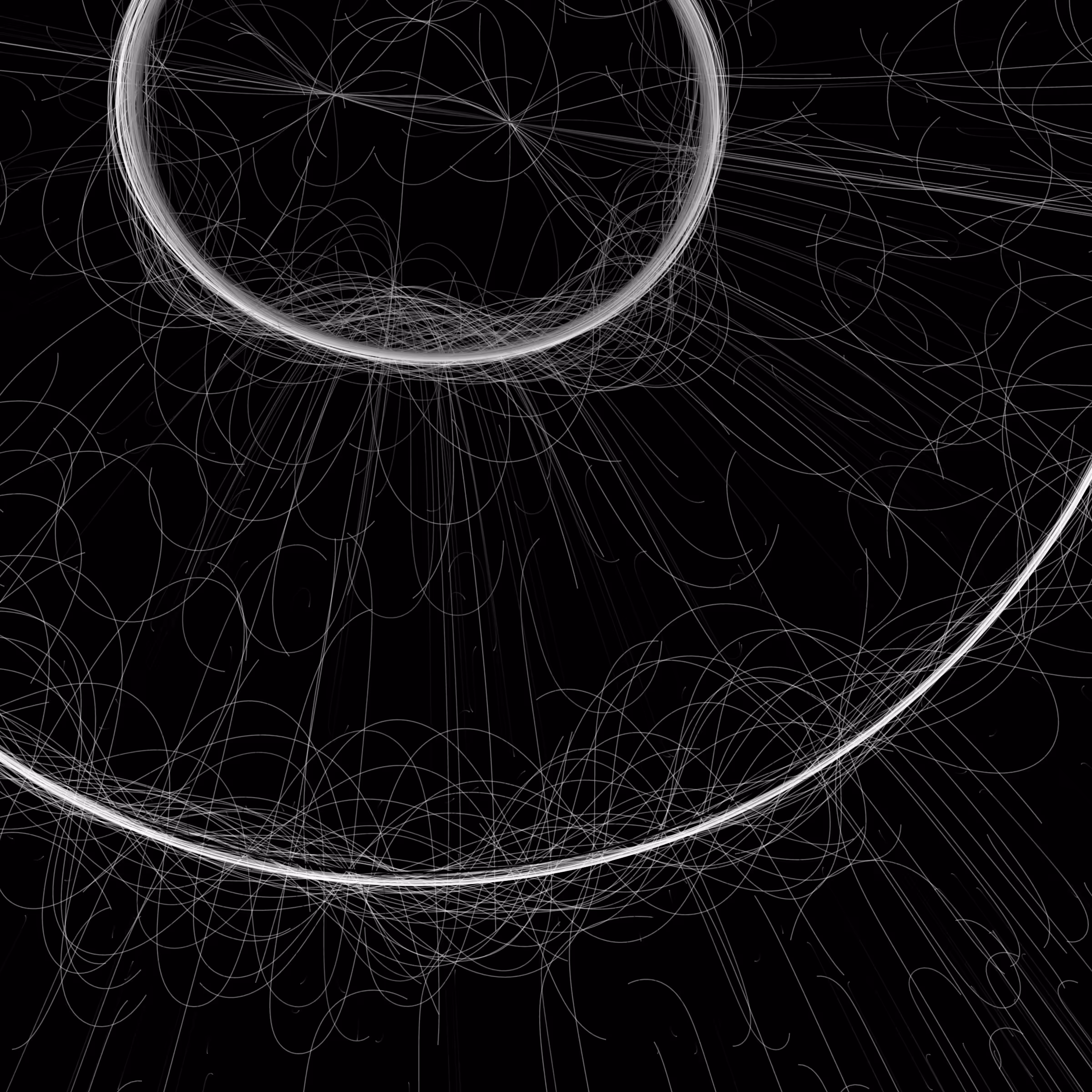 Phototaxis #537