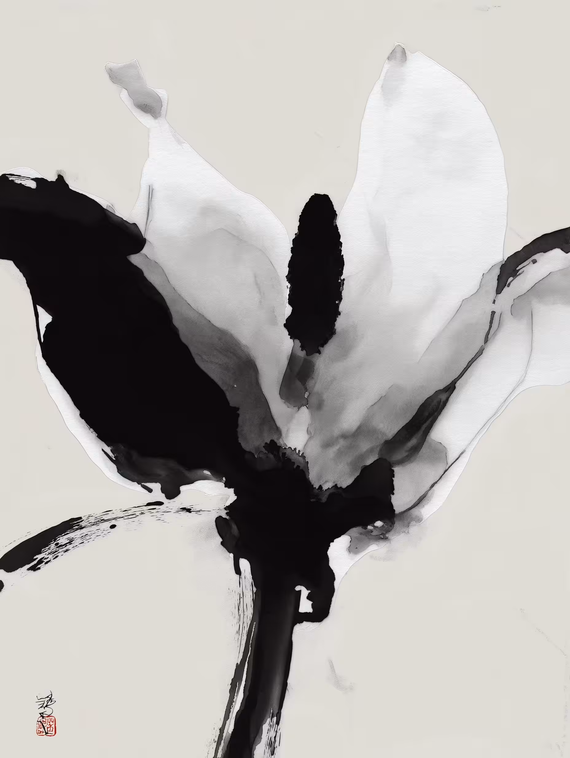 Yin & Yang