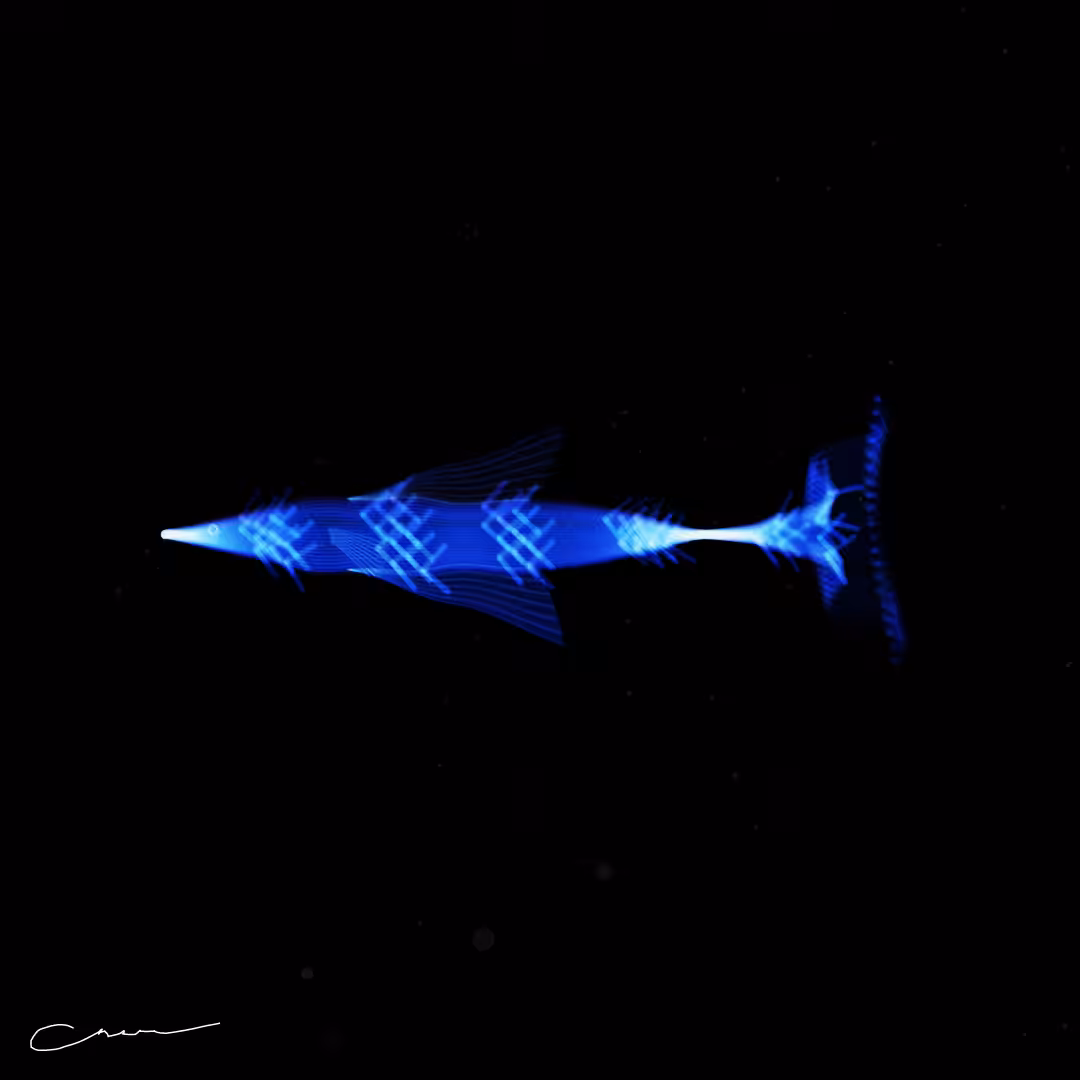 SoulFish #43