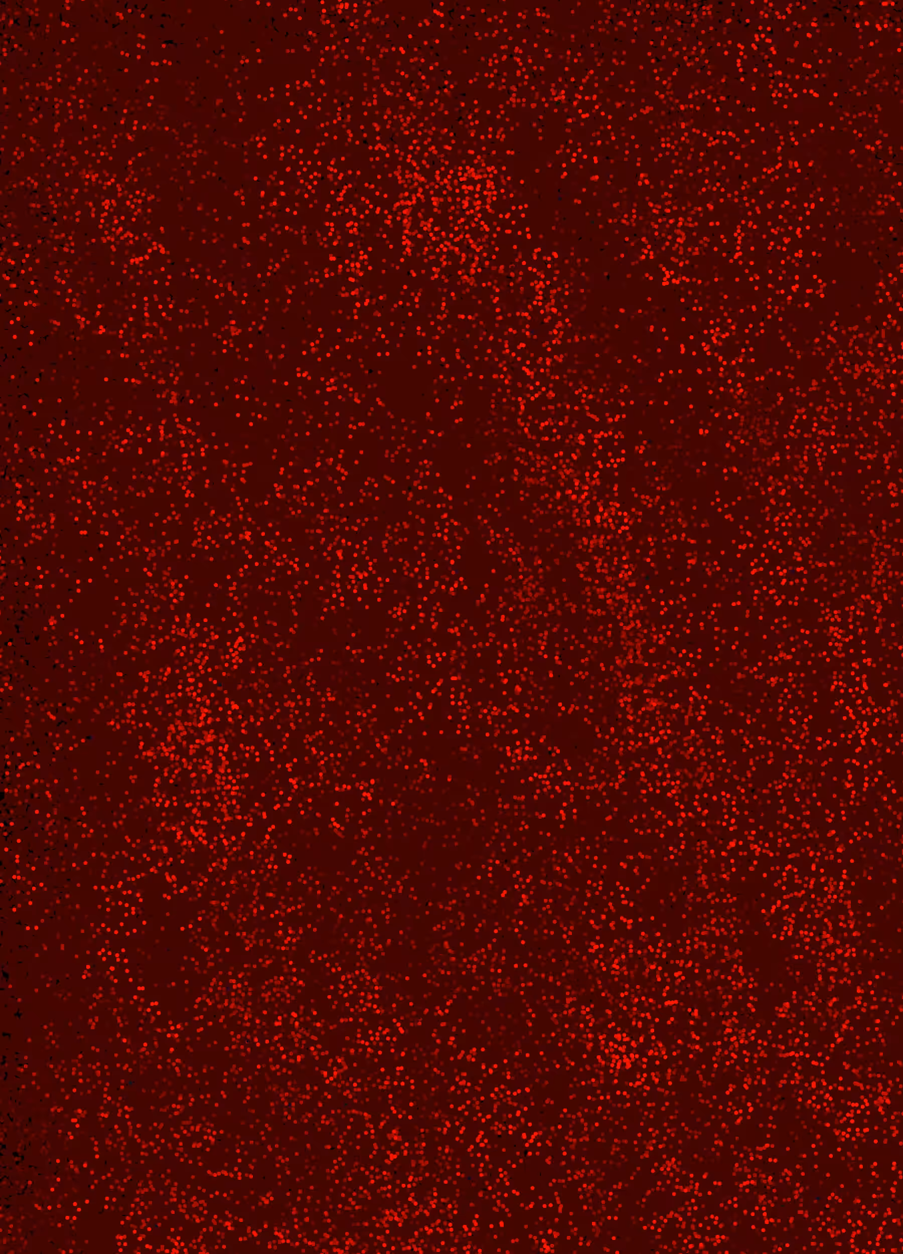 Code Art Series - AM0122