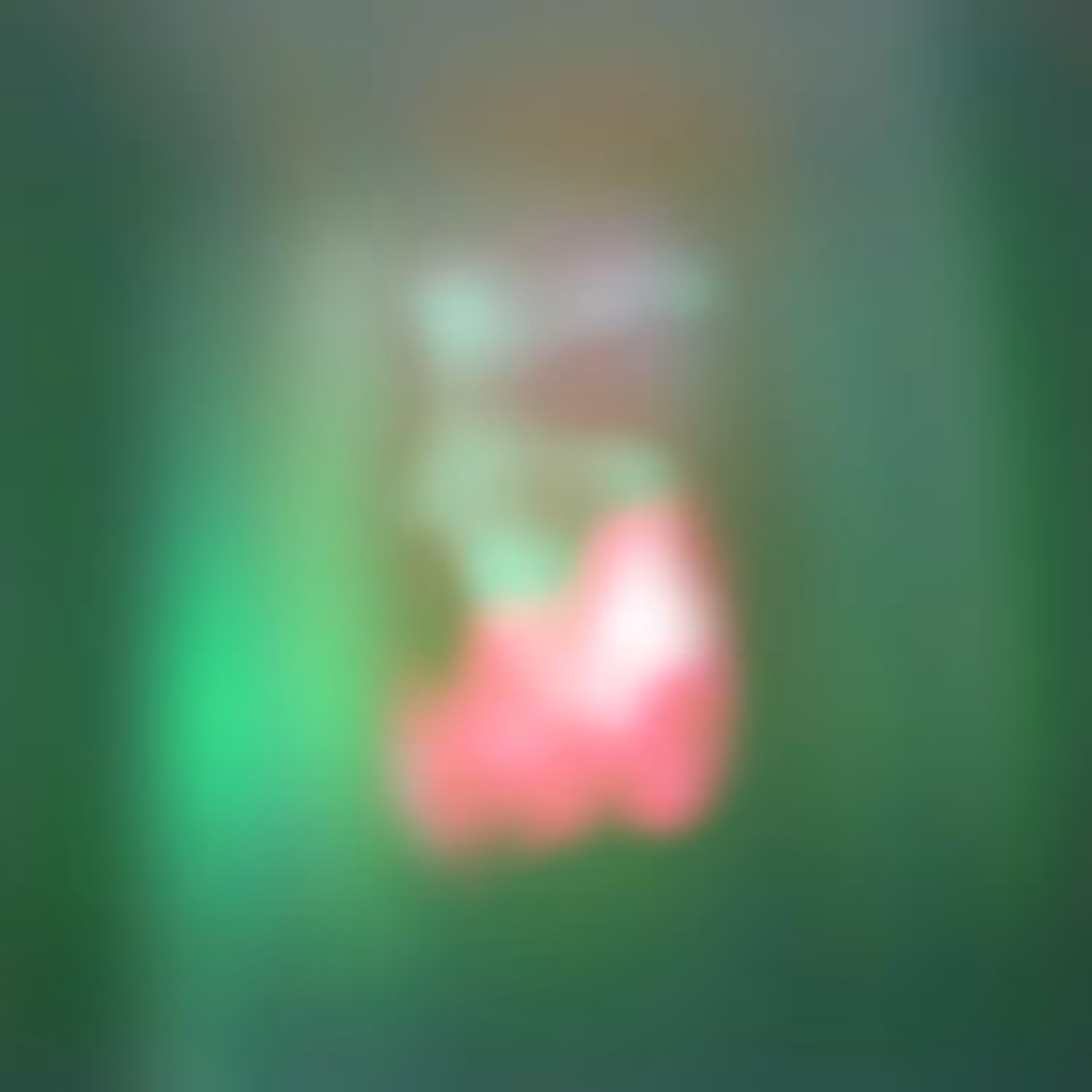 Autochroma #040