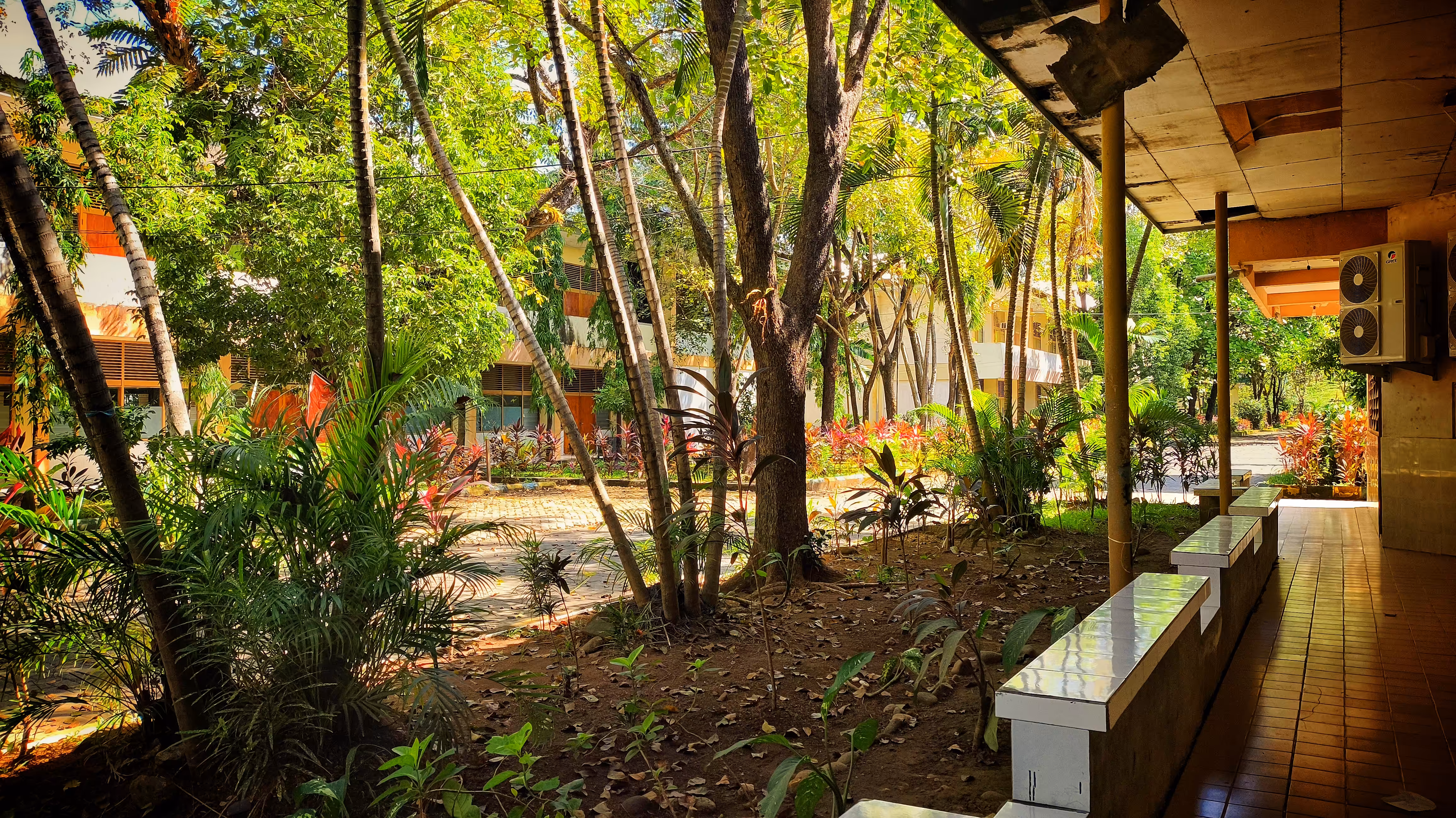Creative Art: The Quiet Corner Between Buildings and Trees