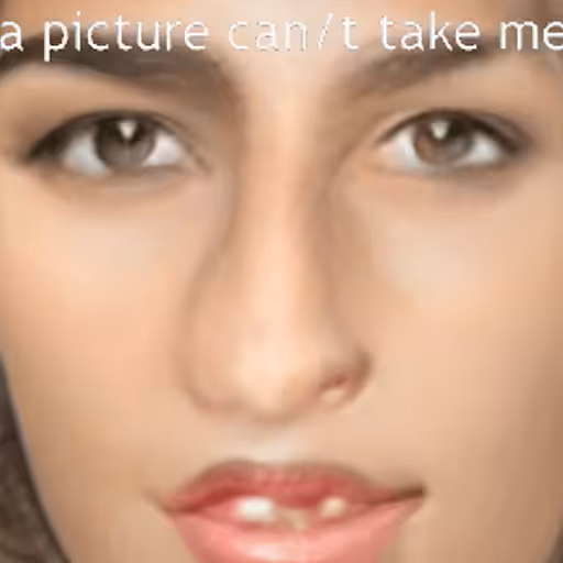A Picture Can’t Take Me