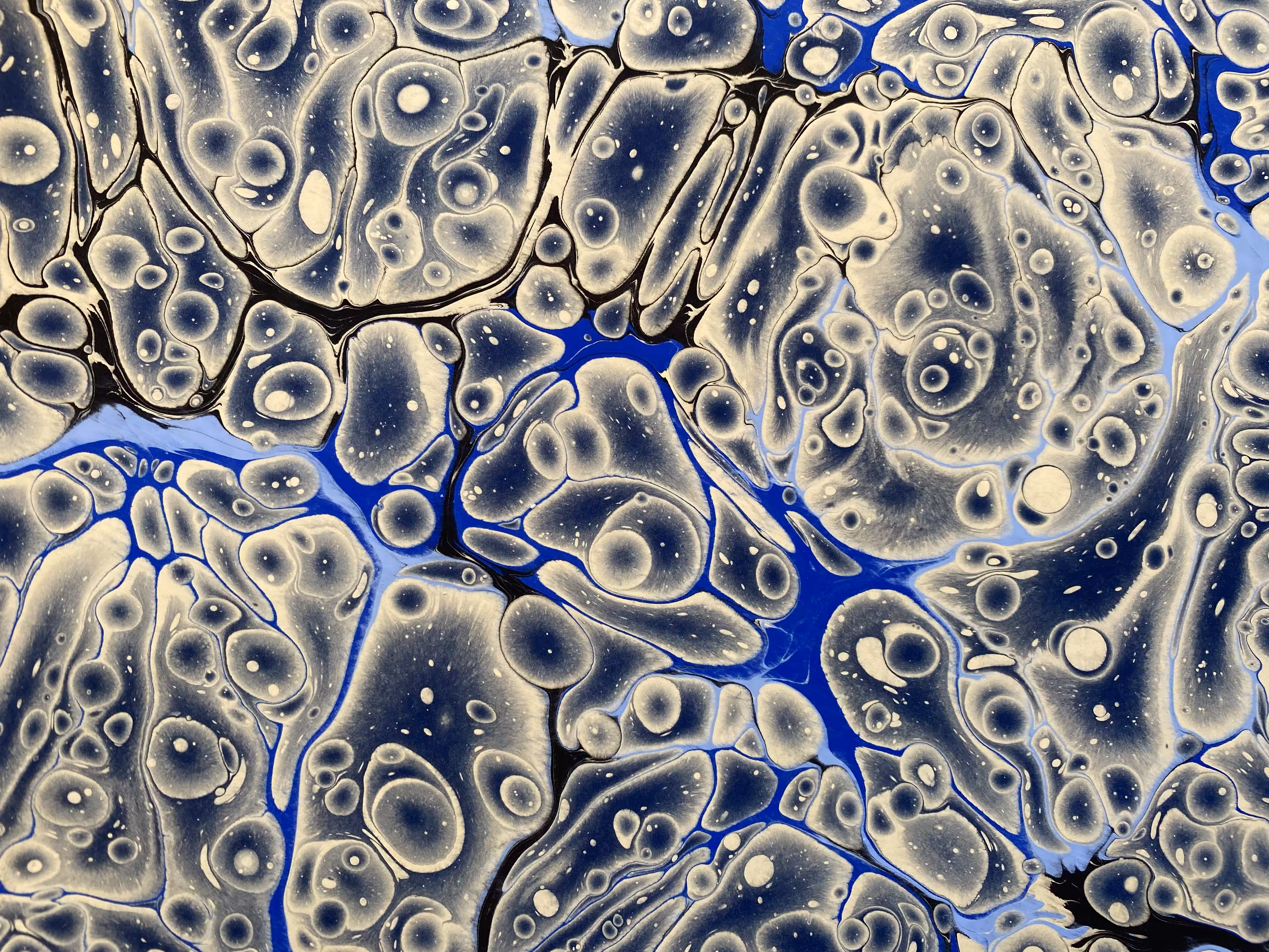 Battal Ebrû / Marbling Art SE #25