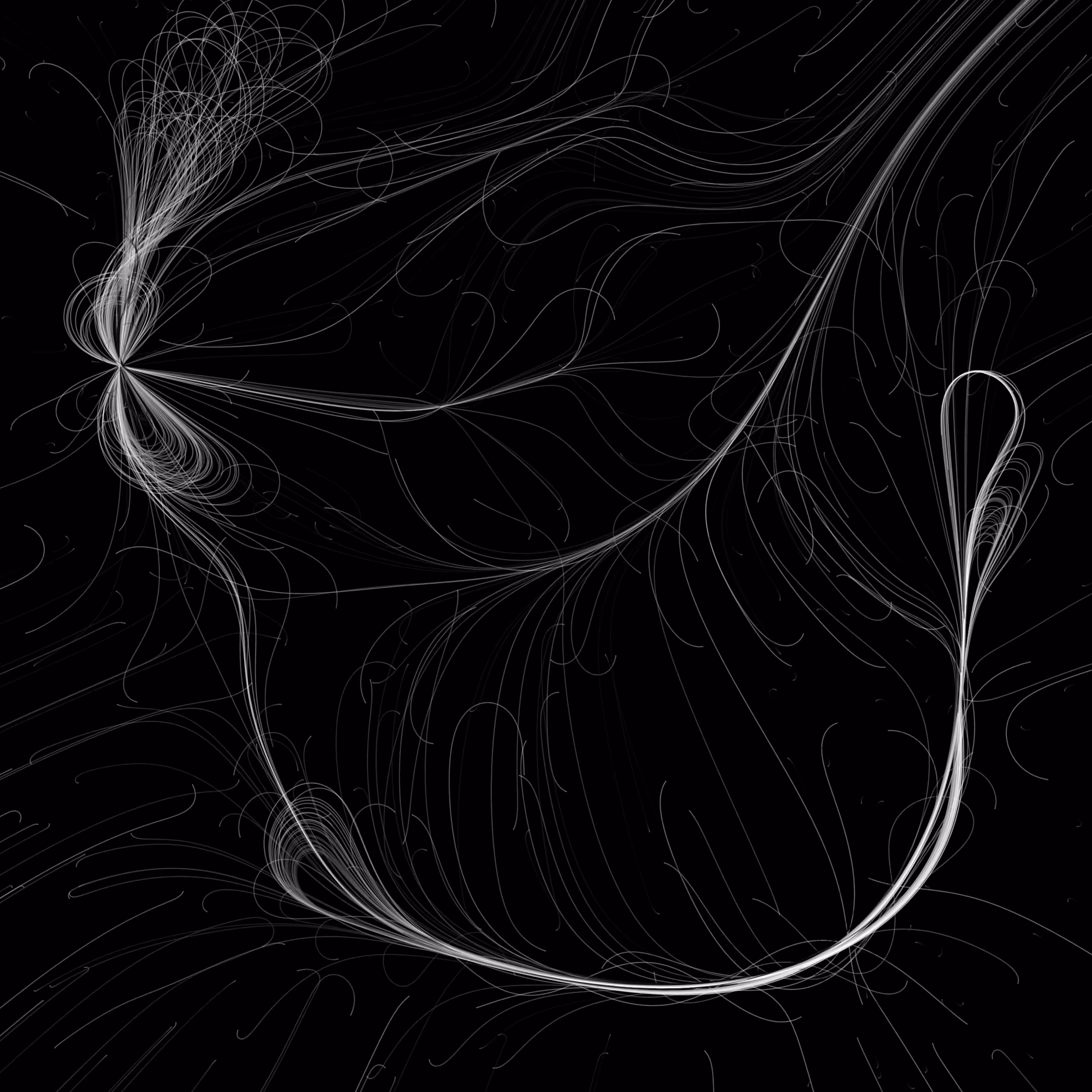 Phototaxis #945