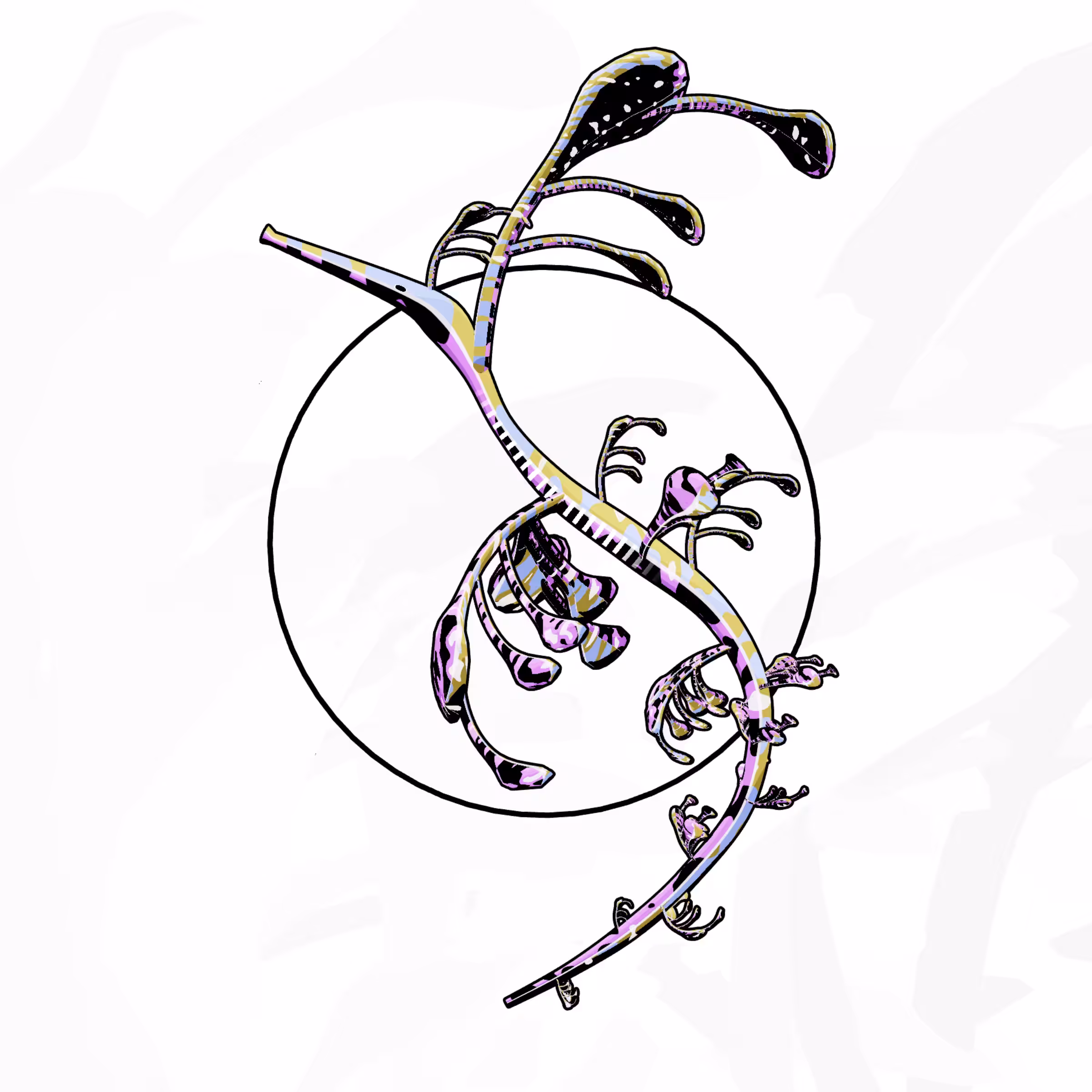 Seadragons #558