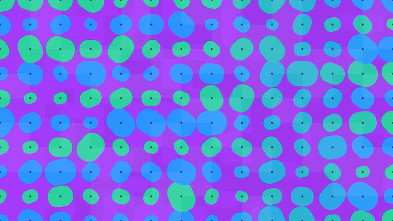 Polka #21