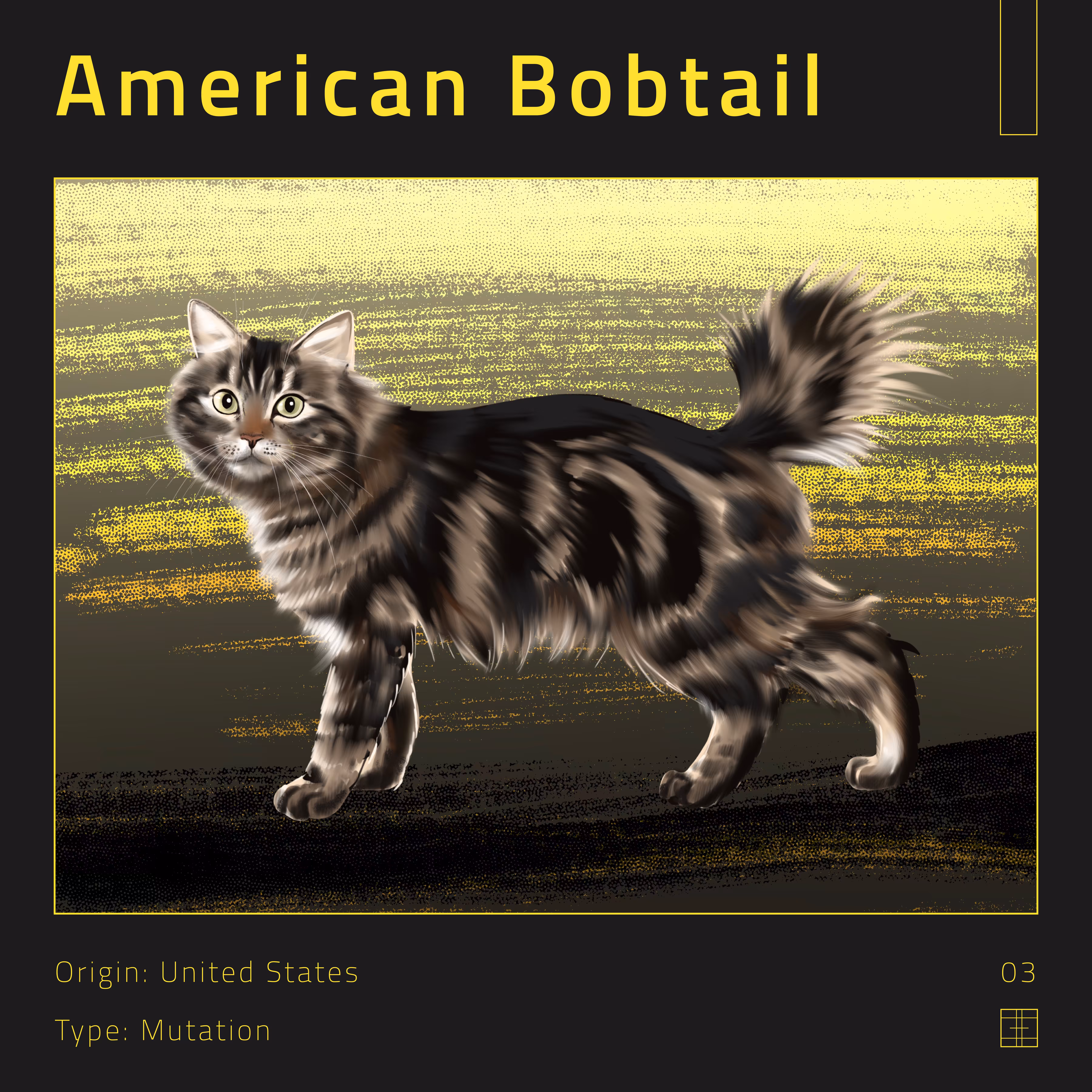 03 – American Bobtail cat