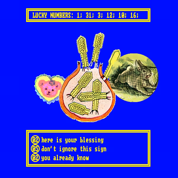 Book Of Fortune #12