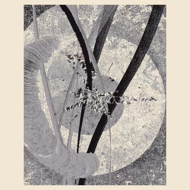 Continuum #43