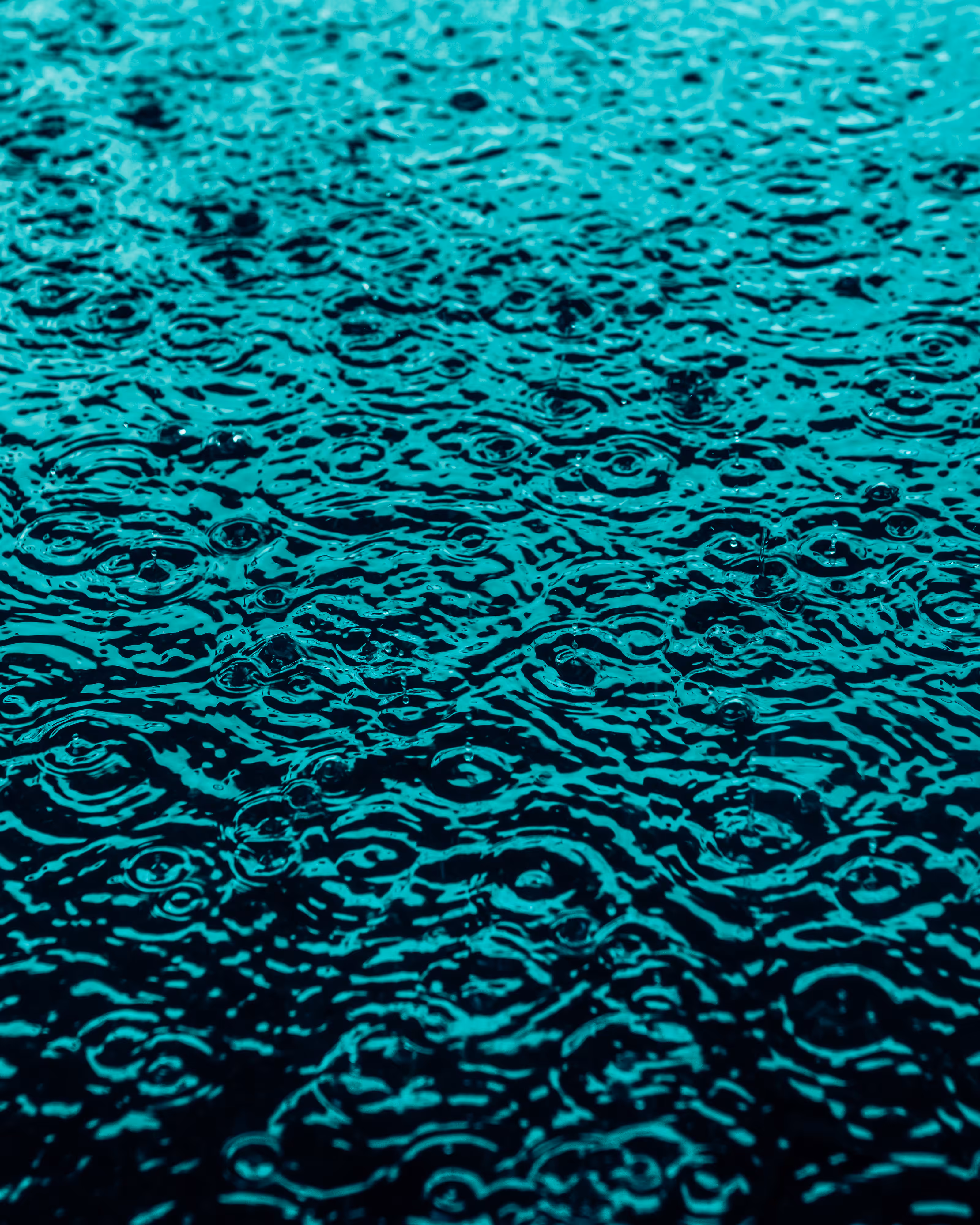 DRIP #96