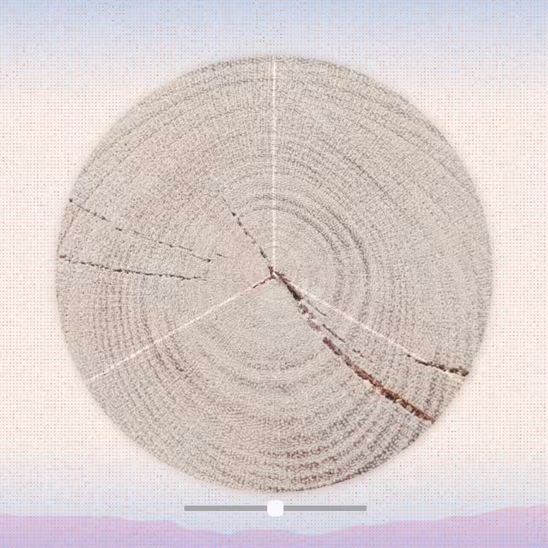 Tree ring waltz #5