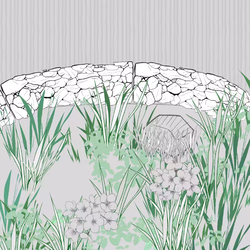 Wild Grass and Rubble #152