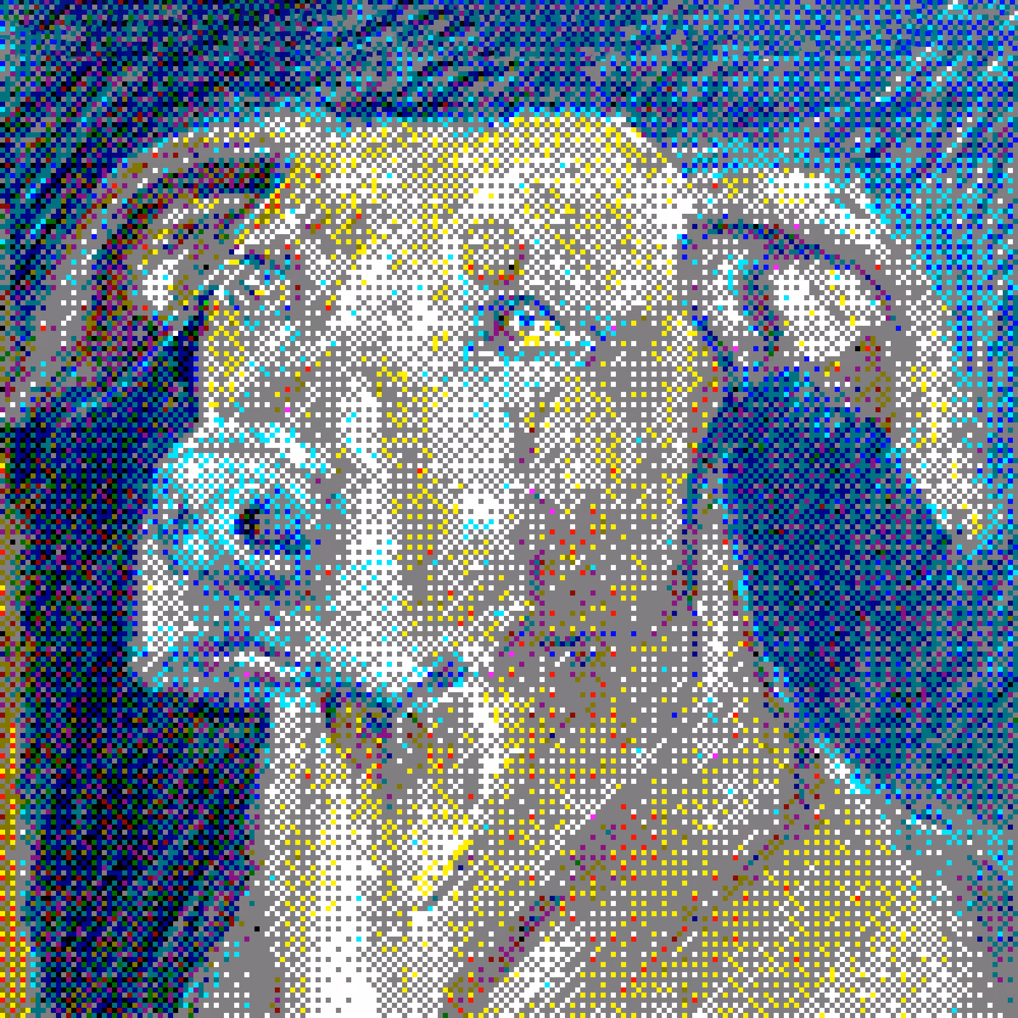 Pongo
