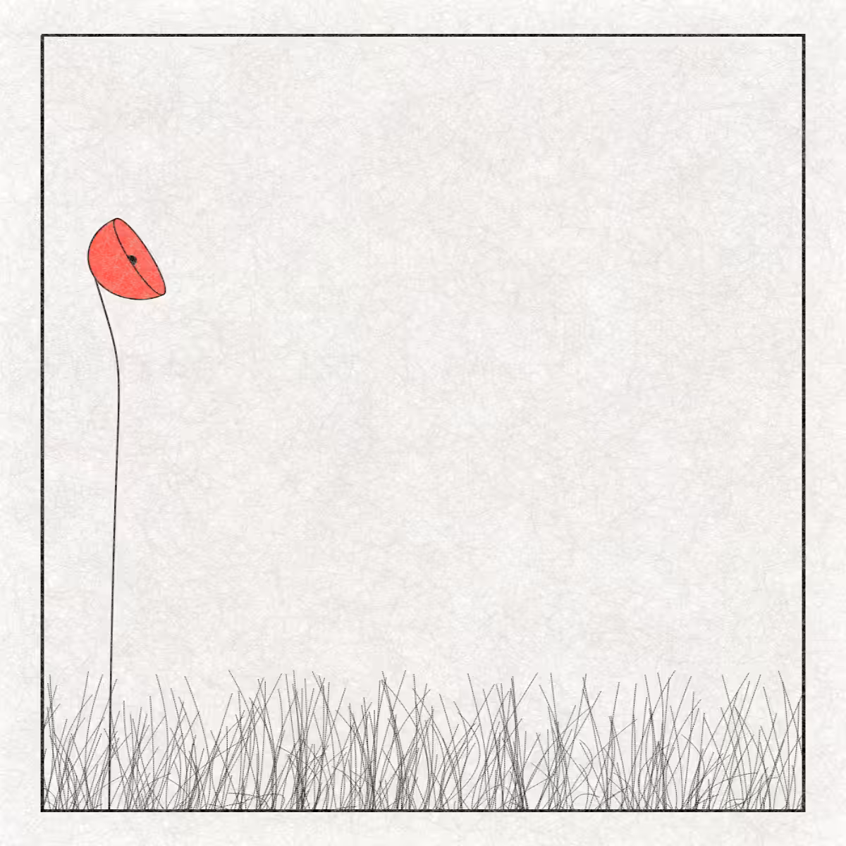 Flowers  #87