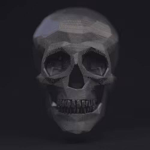 Skull Moire