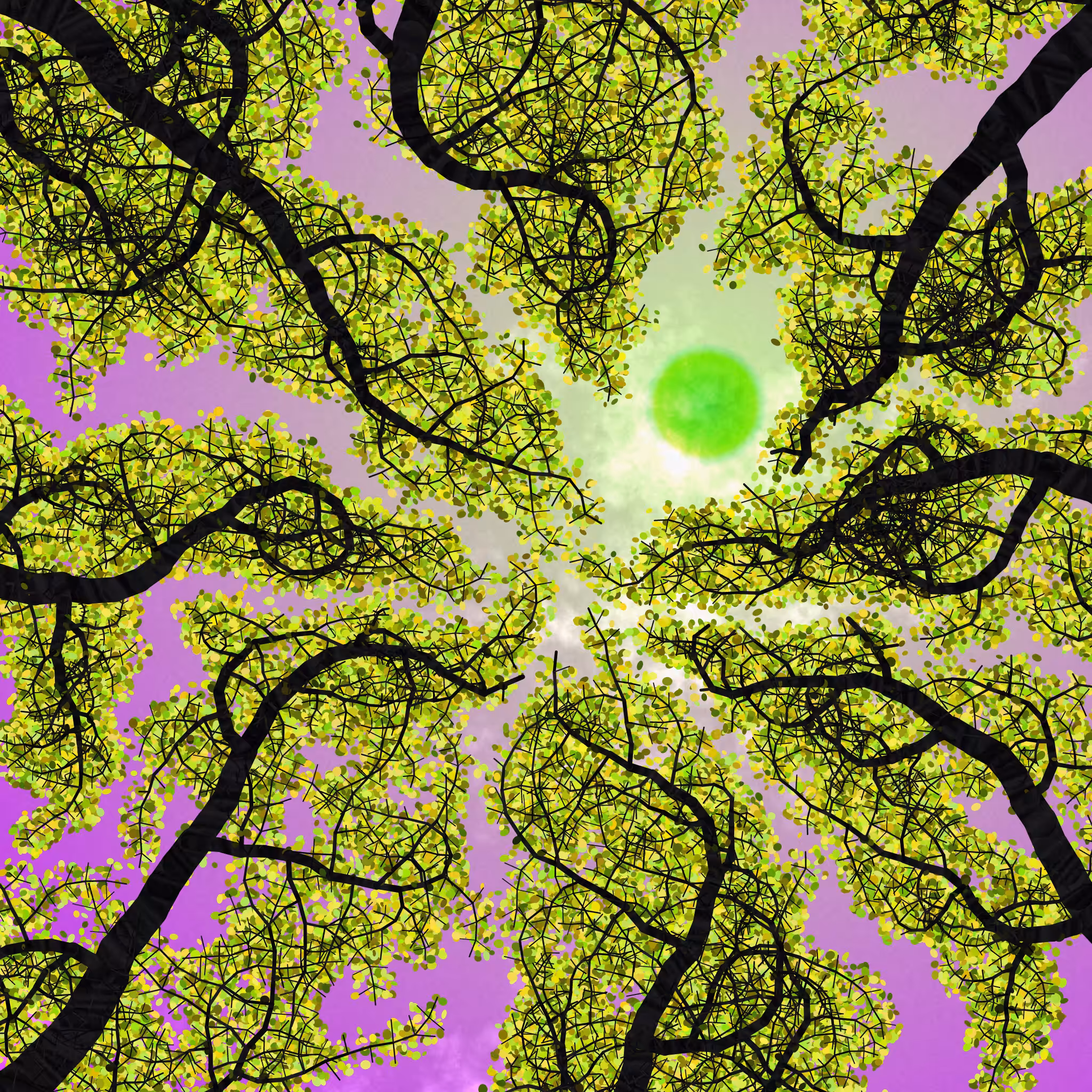 Tree Skyness #45