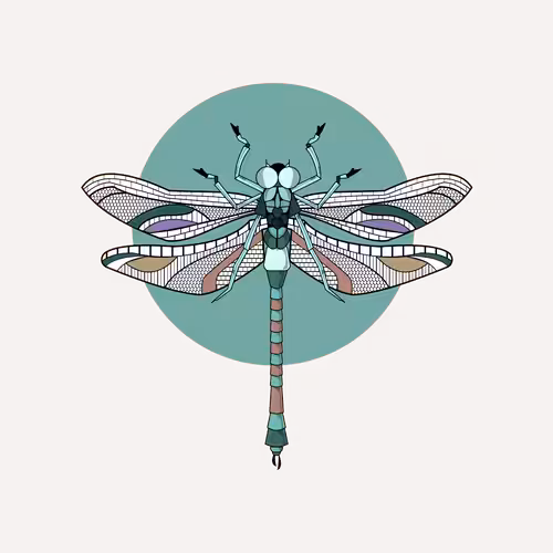 Anisoptera Tetradic: Green Sheen