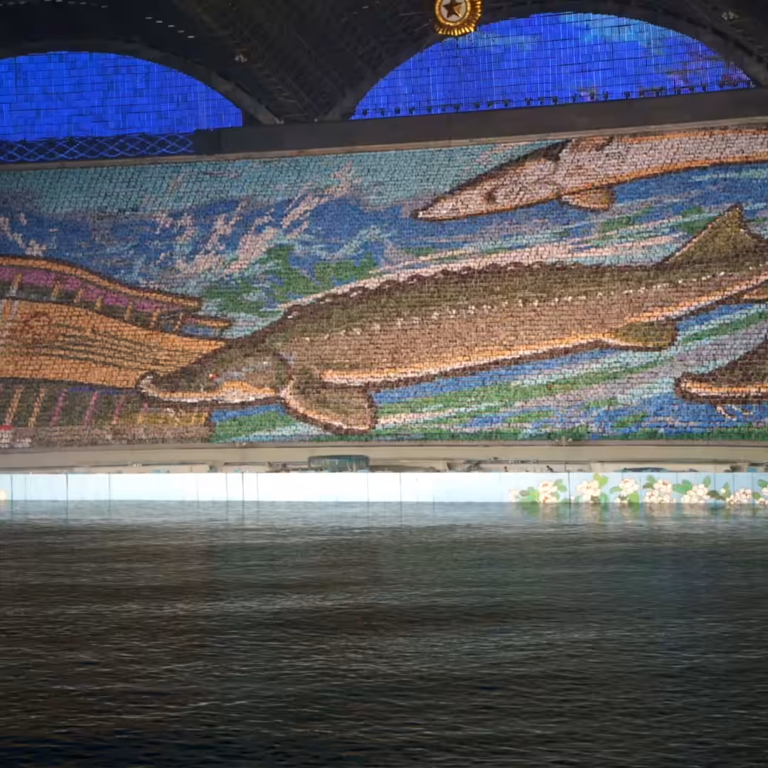Neo-Pyongyang III
