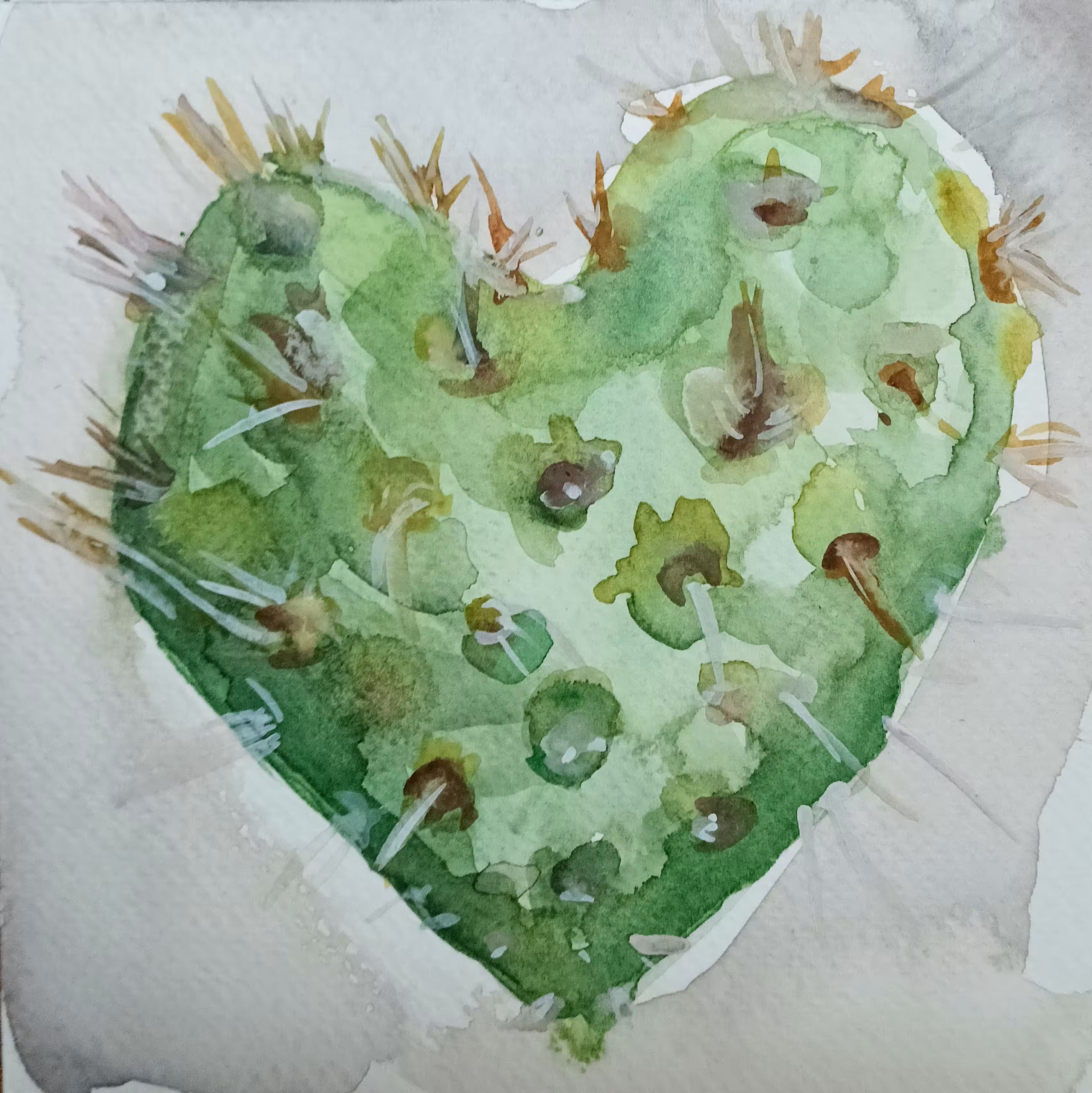 Heart Shaped Cactus 