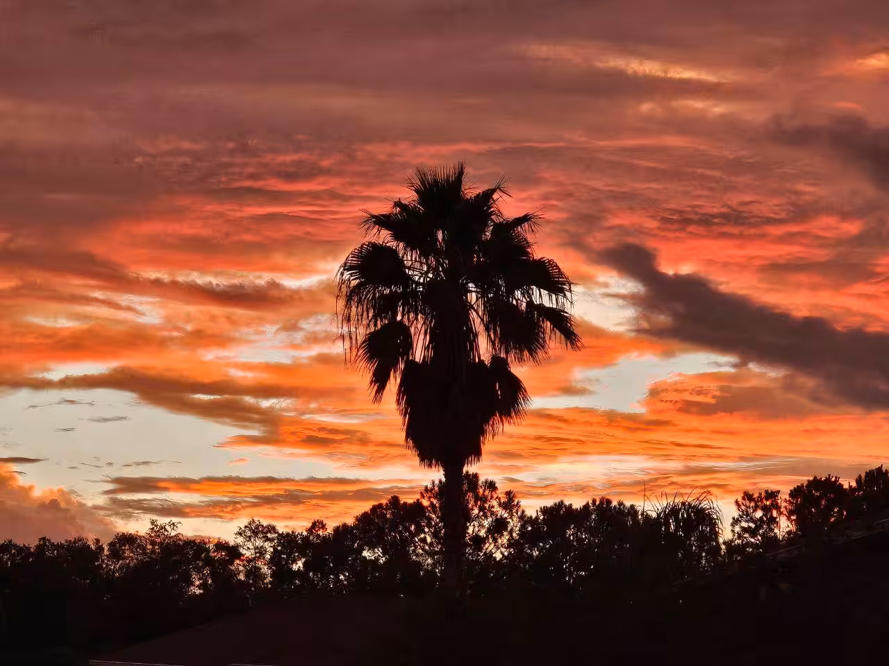 sunset#2