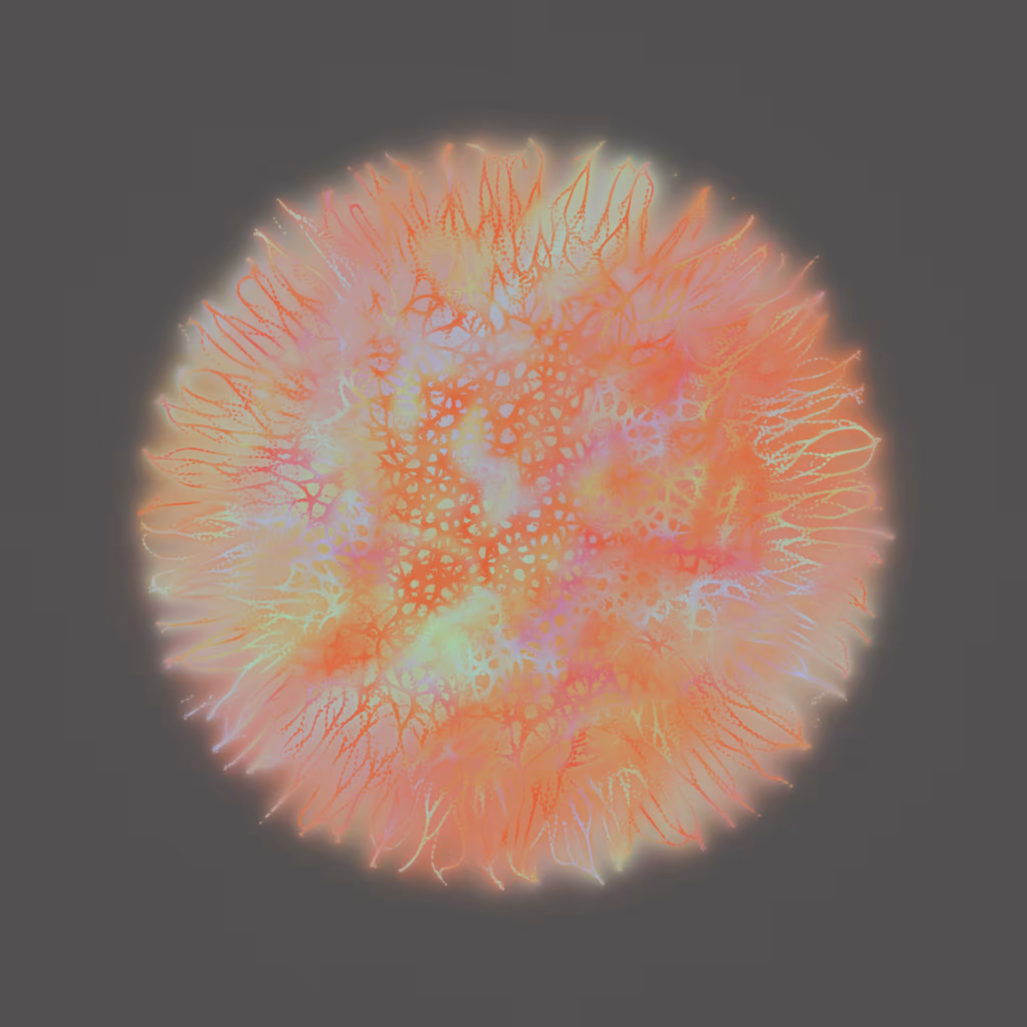 Agnoscopic #31