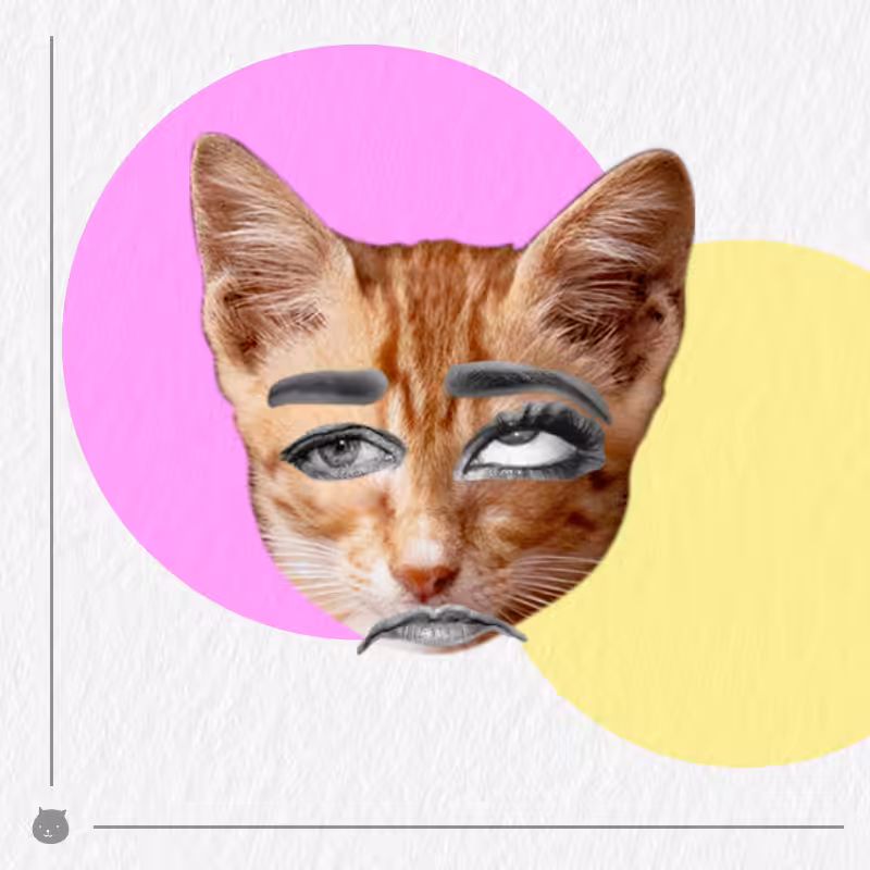 Kittenstein #20