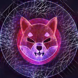 Shiba Inu #1
