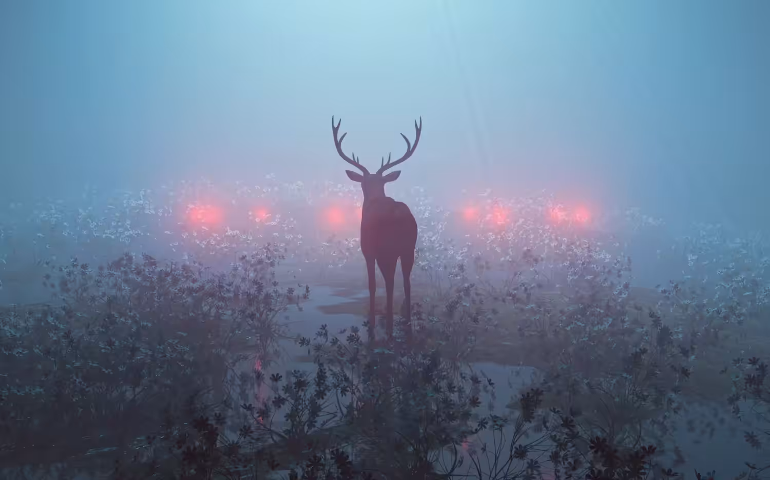 the deer