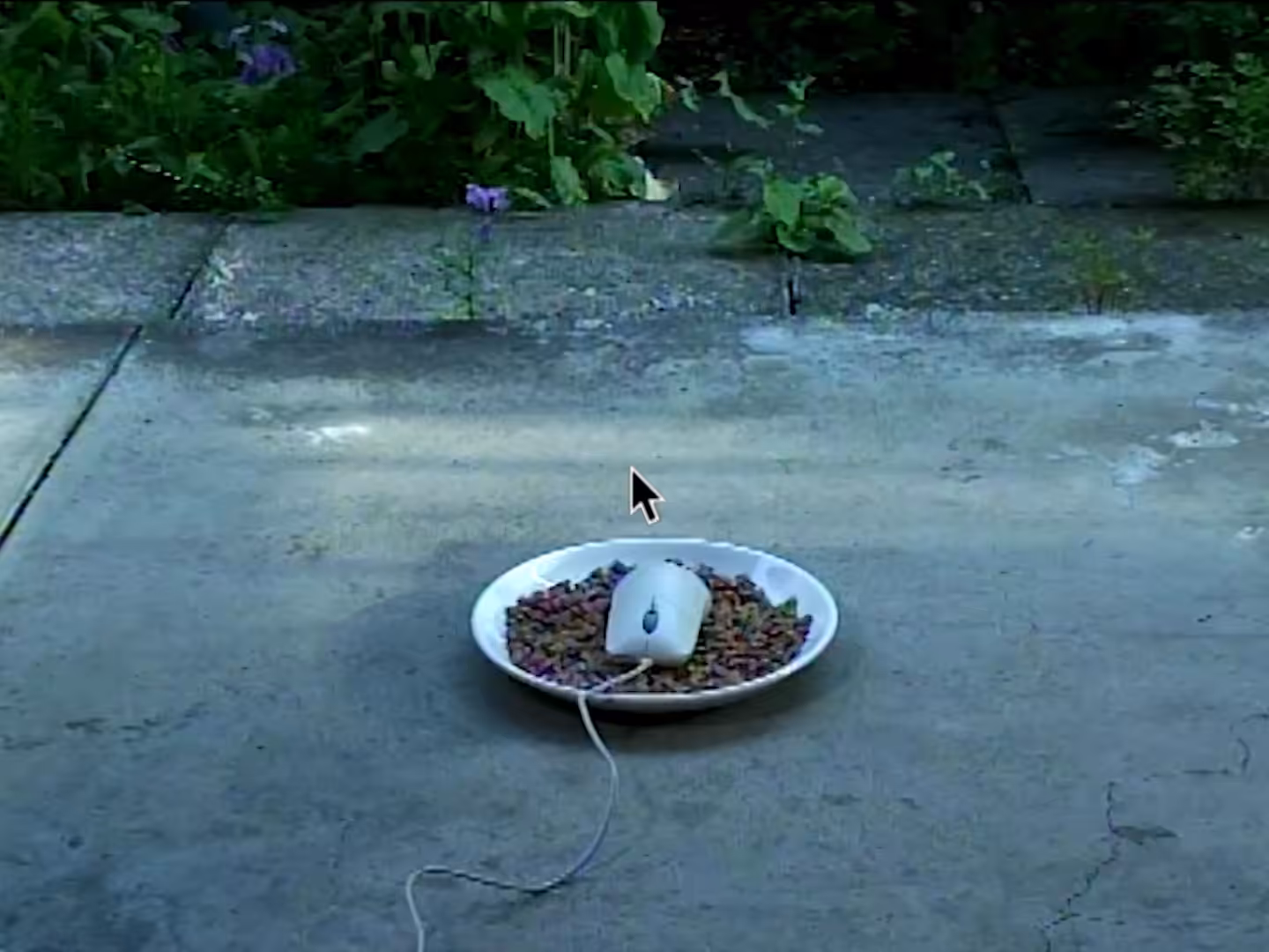 DanmatsuMouse - Cat (Blockchain ver.)