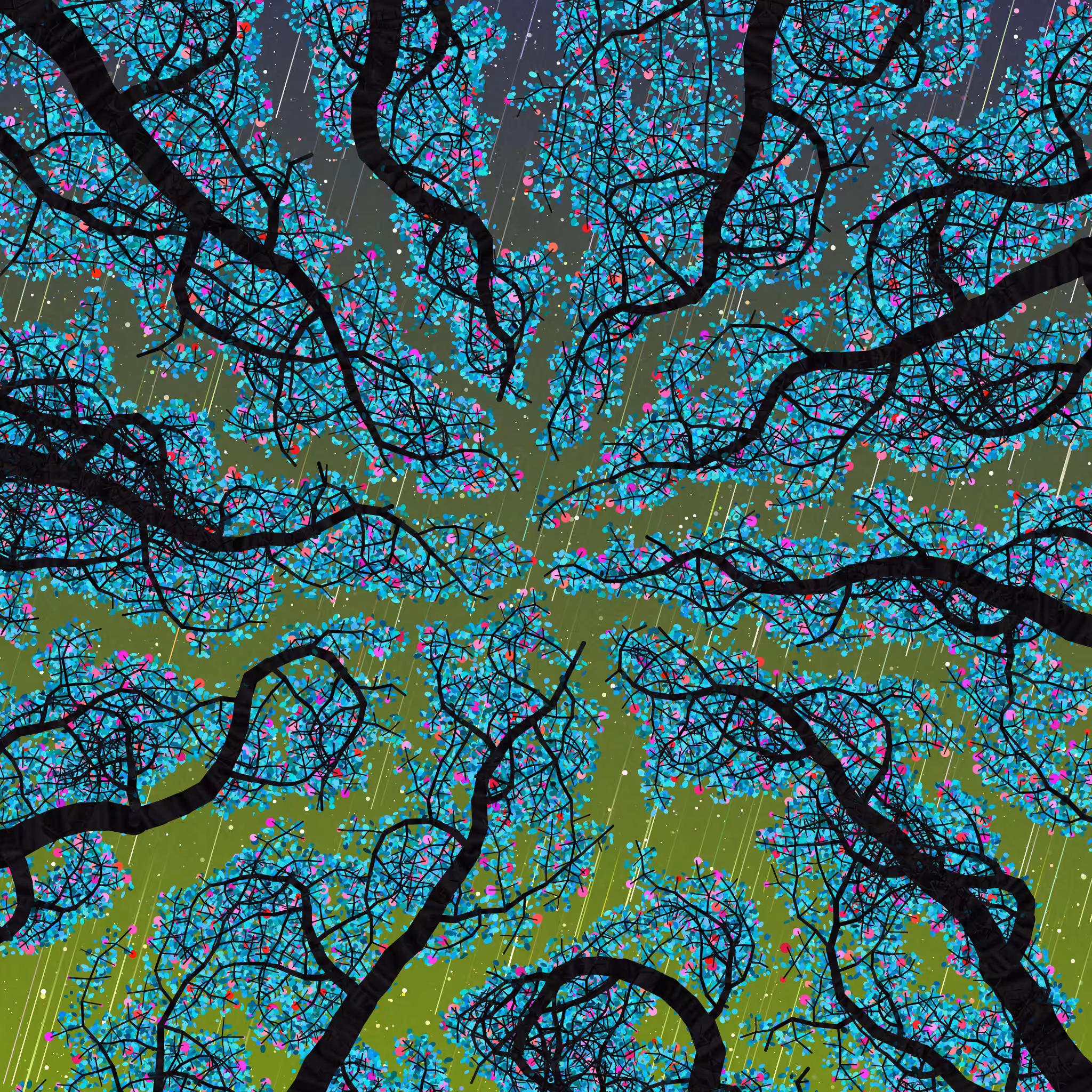 Tree Skyness #172