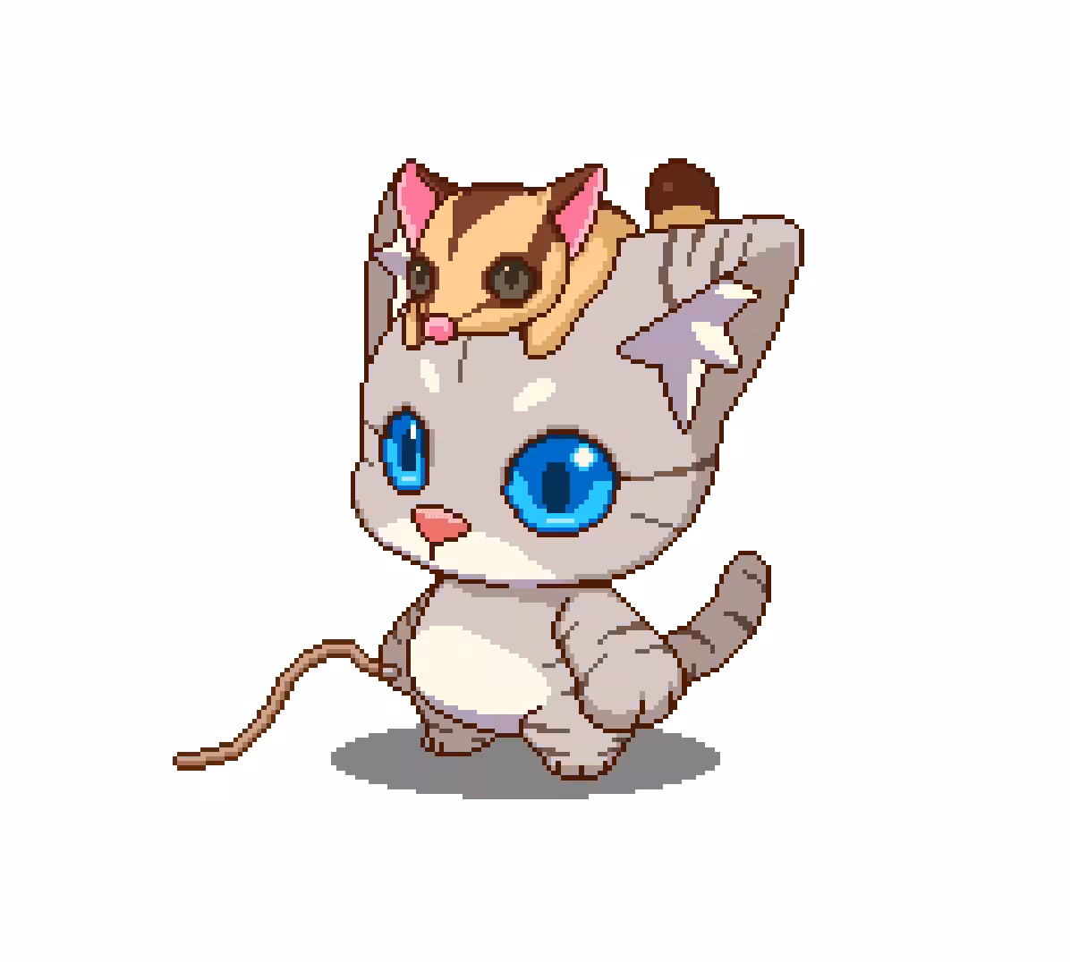 Cat06