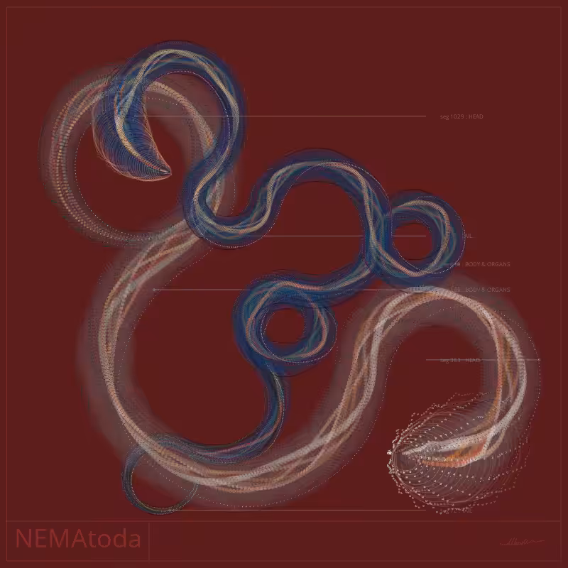 NEMA #4