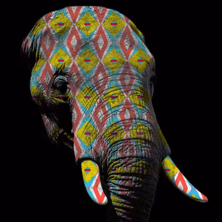 The Elephant