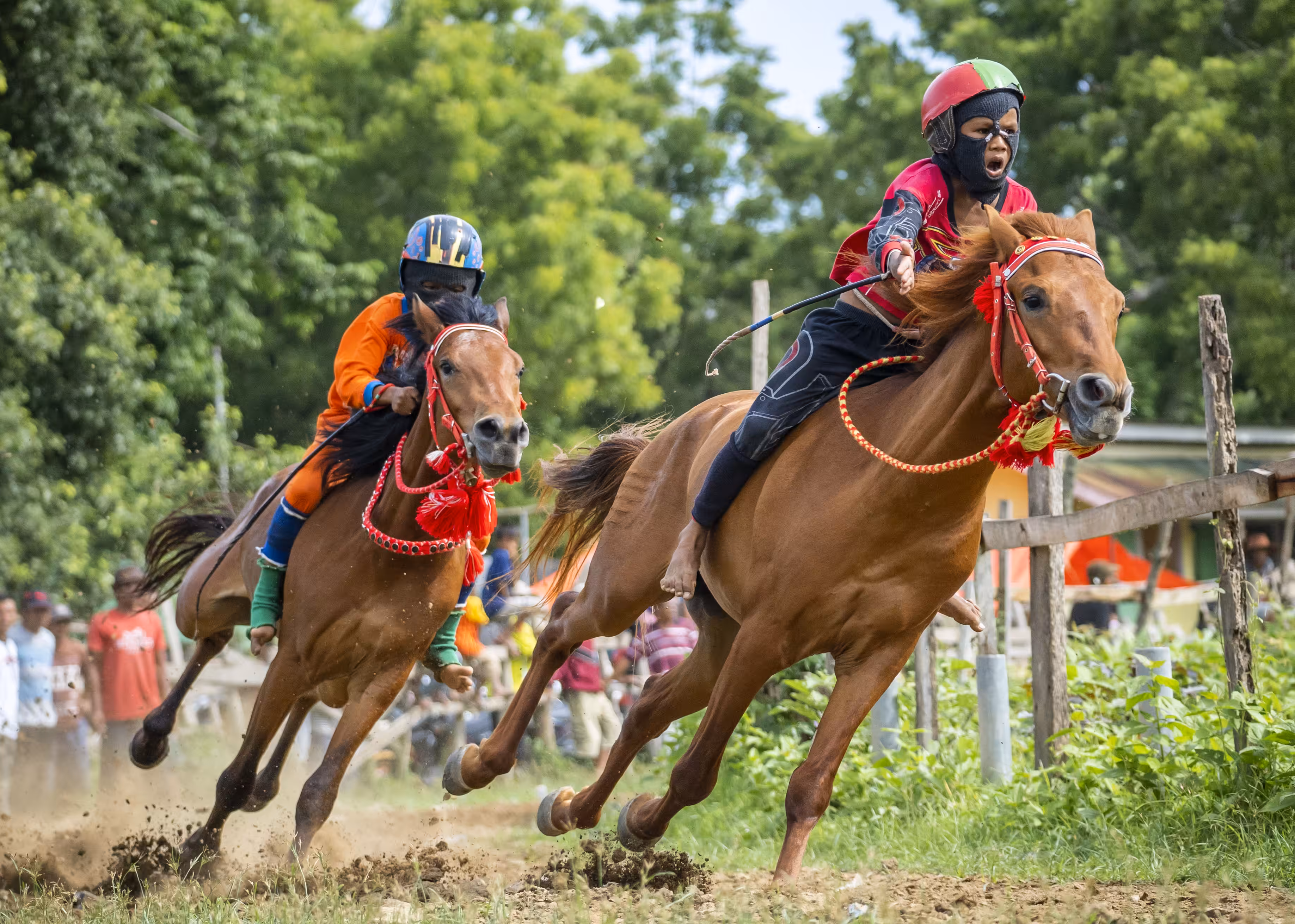 horse race traditional