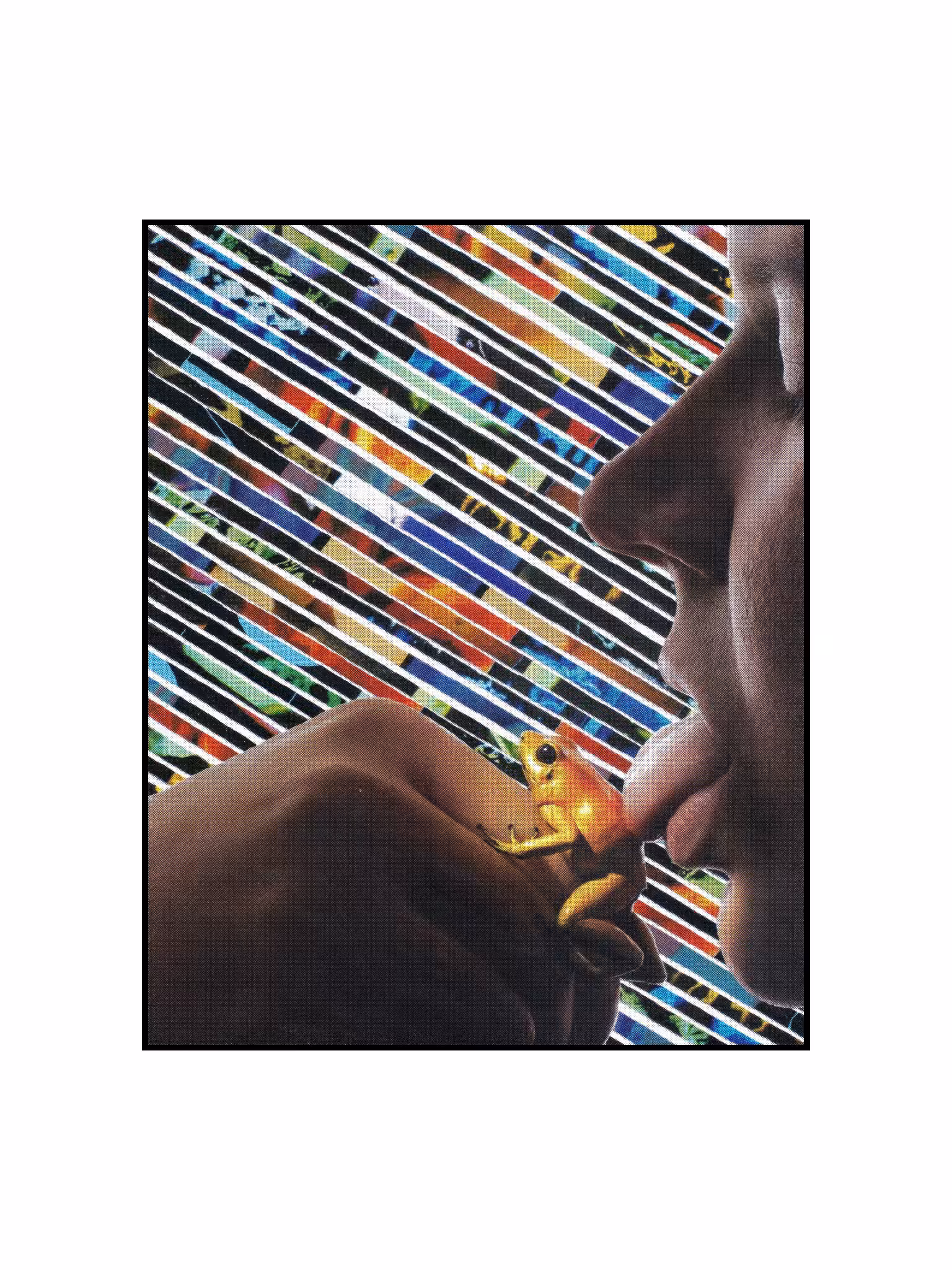 IRL.TRIP