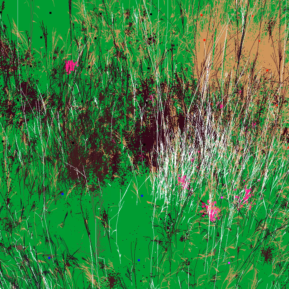 Infinite Garden: 30064 Flowers