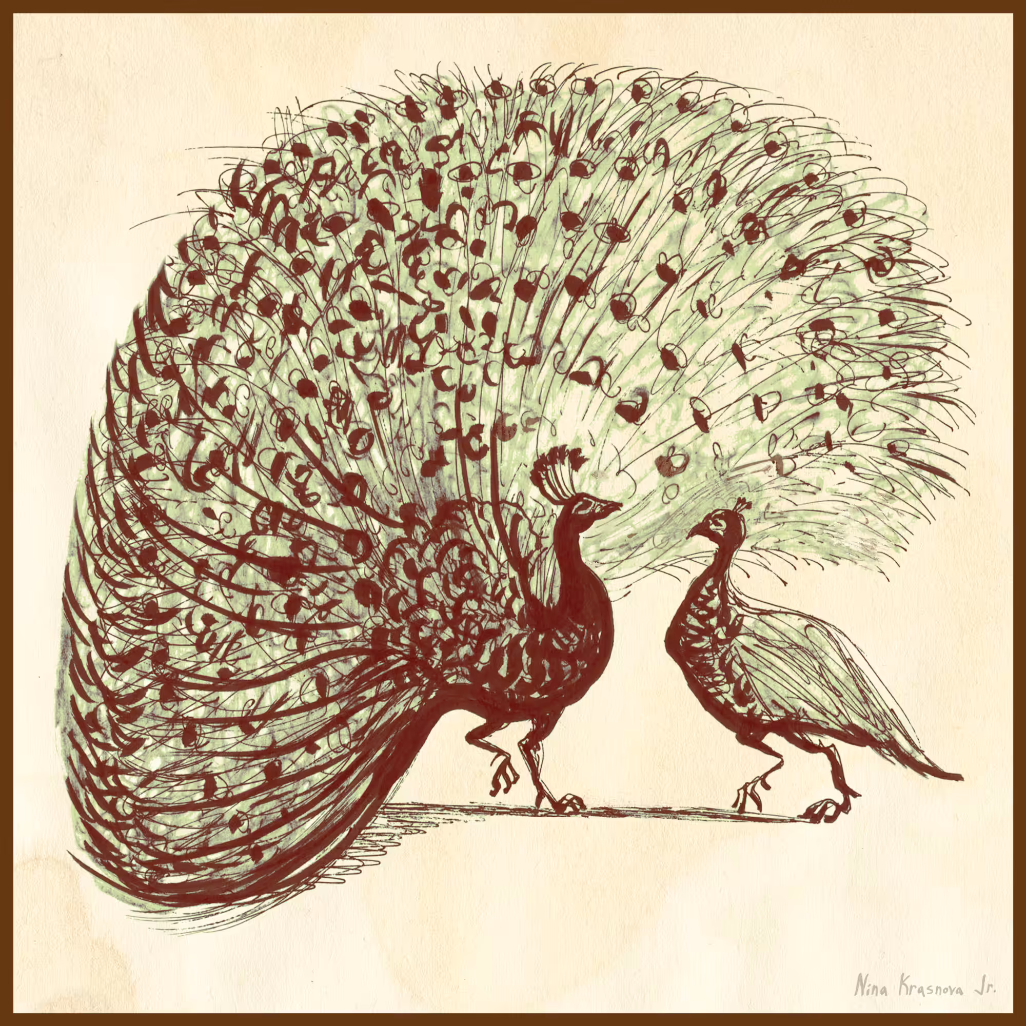 Peacock