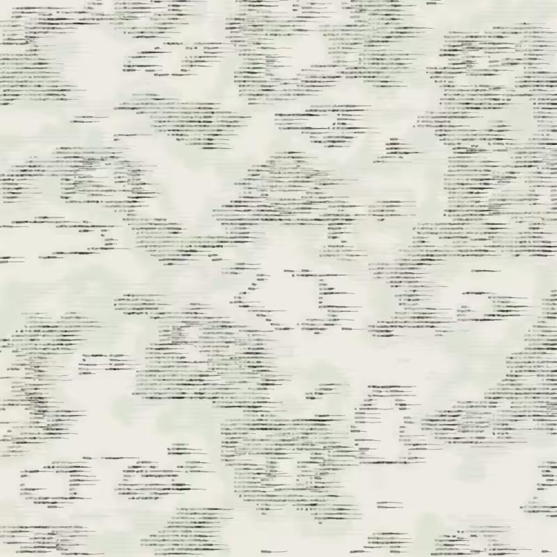 Petri 1500 #697