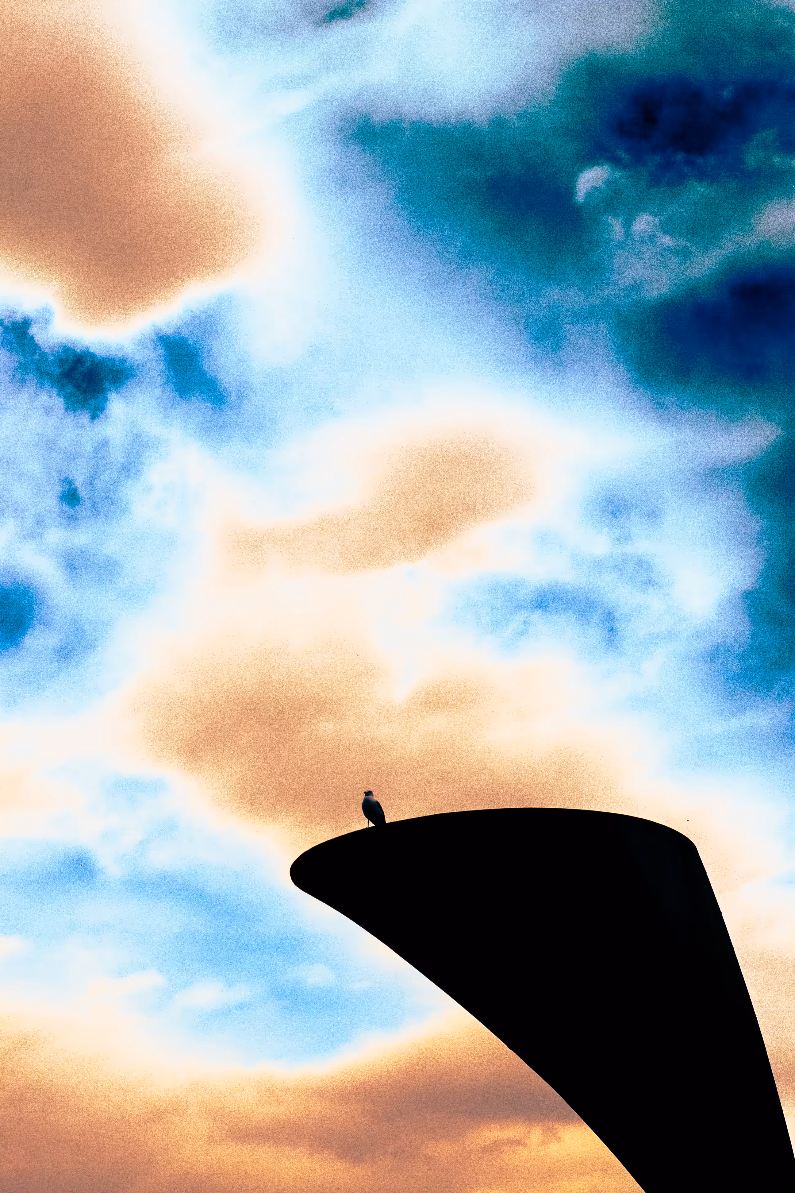 Bristol's Rainshine, Millenium Part 1: Seagull at Pero's Bridge